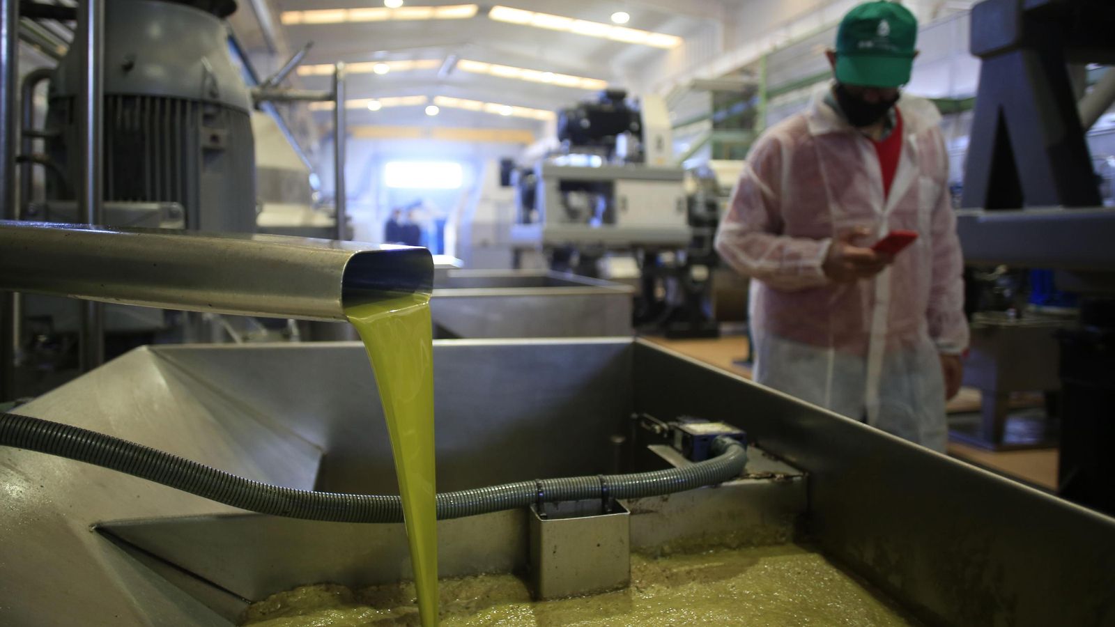 Producción de aceite de oliva en una almazara Producción de aceite de oliva en una almazara
