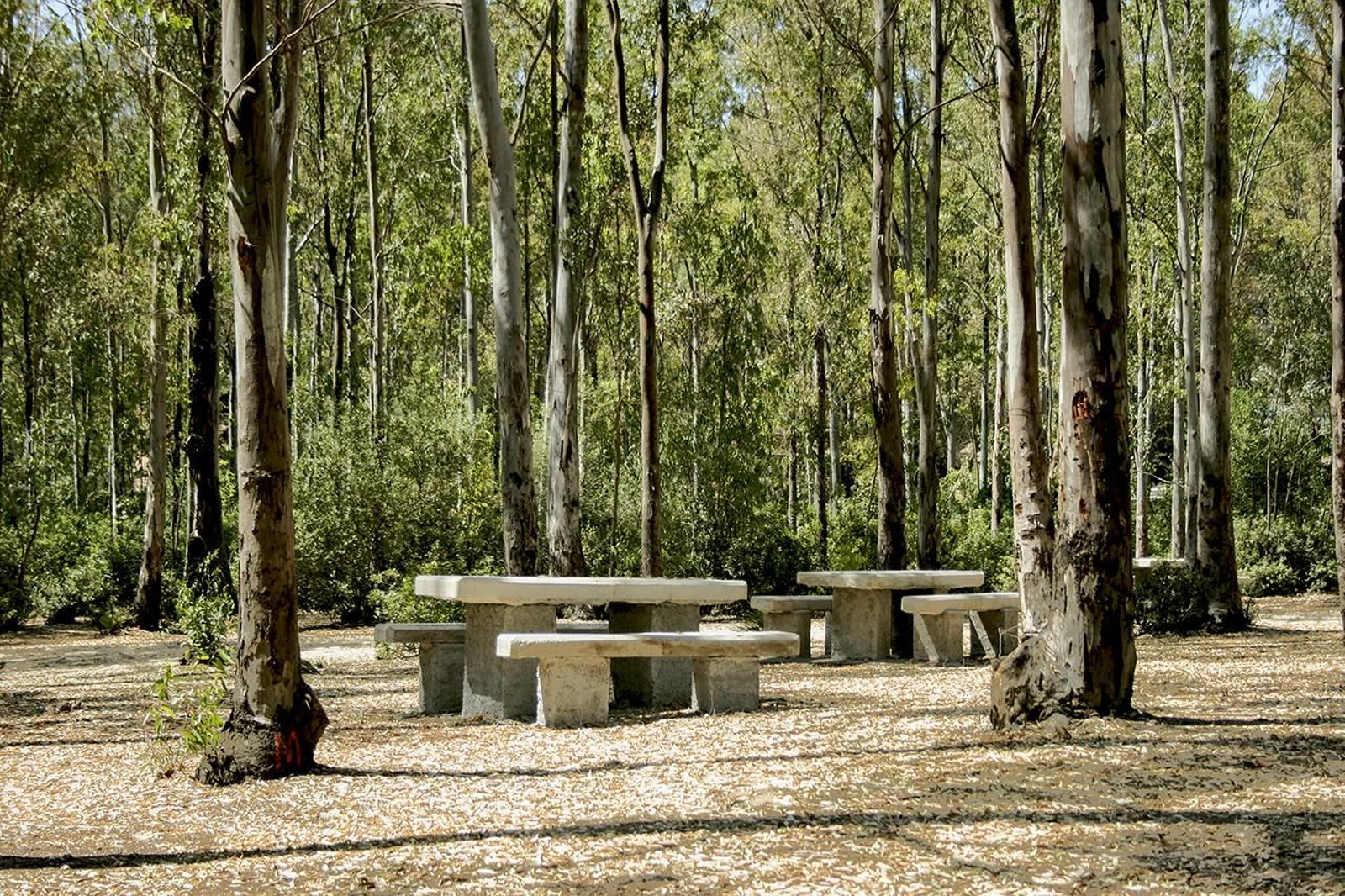 Parques naturales dentro del término municipal de Jerez