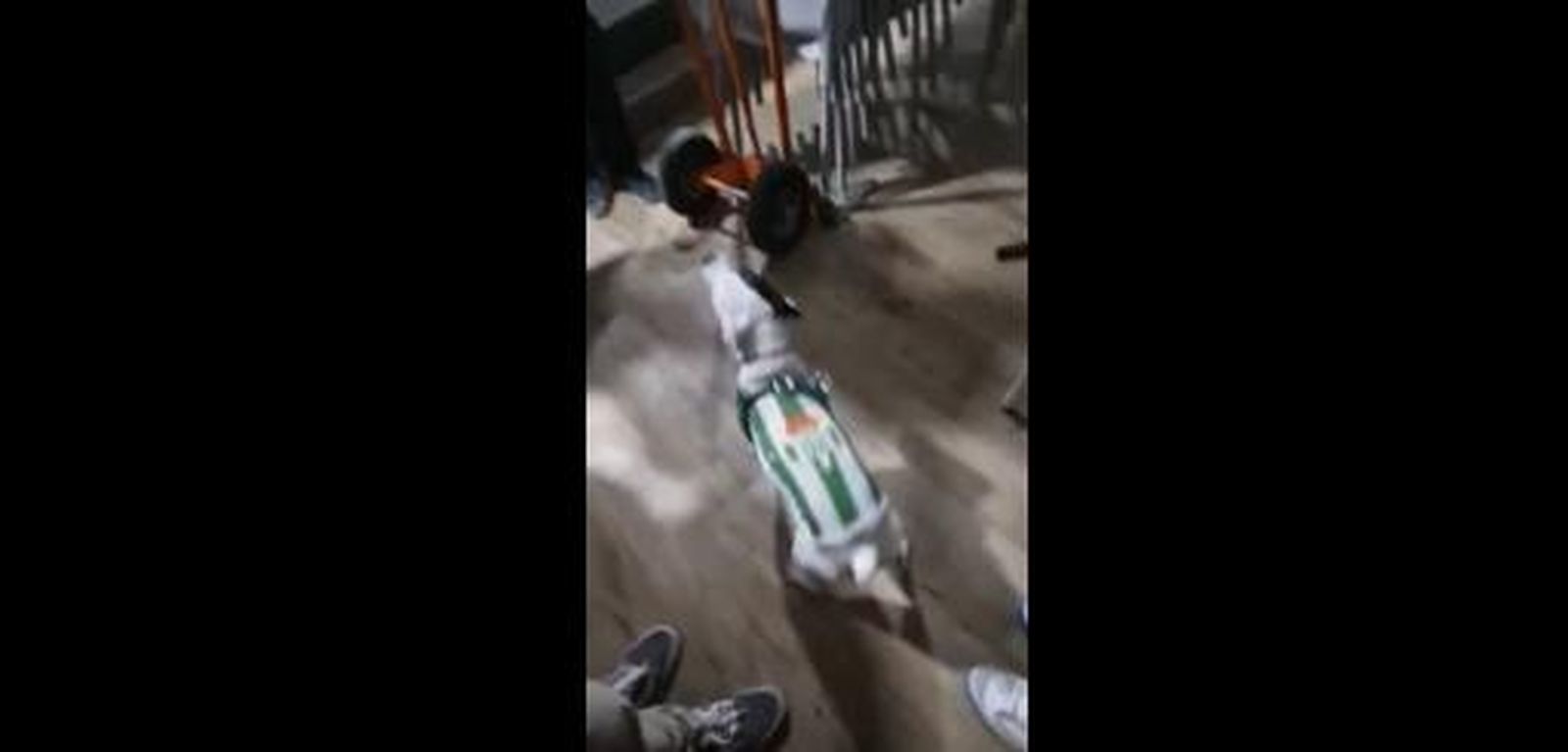 Perro bético bailando flamenco