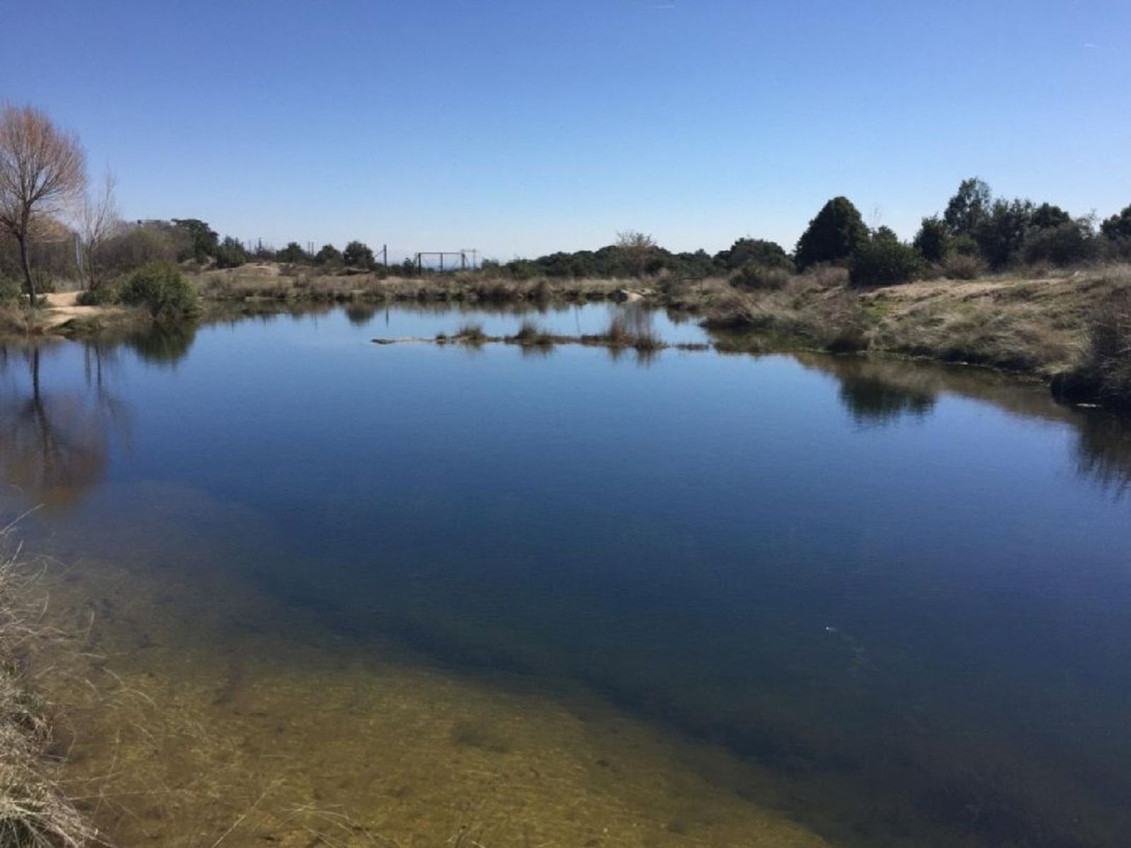 Un refugio para la flora y fauna: descubre los parajes acuáticos de Jaén en el Día Mundial de los Humedales