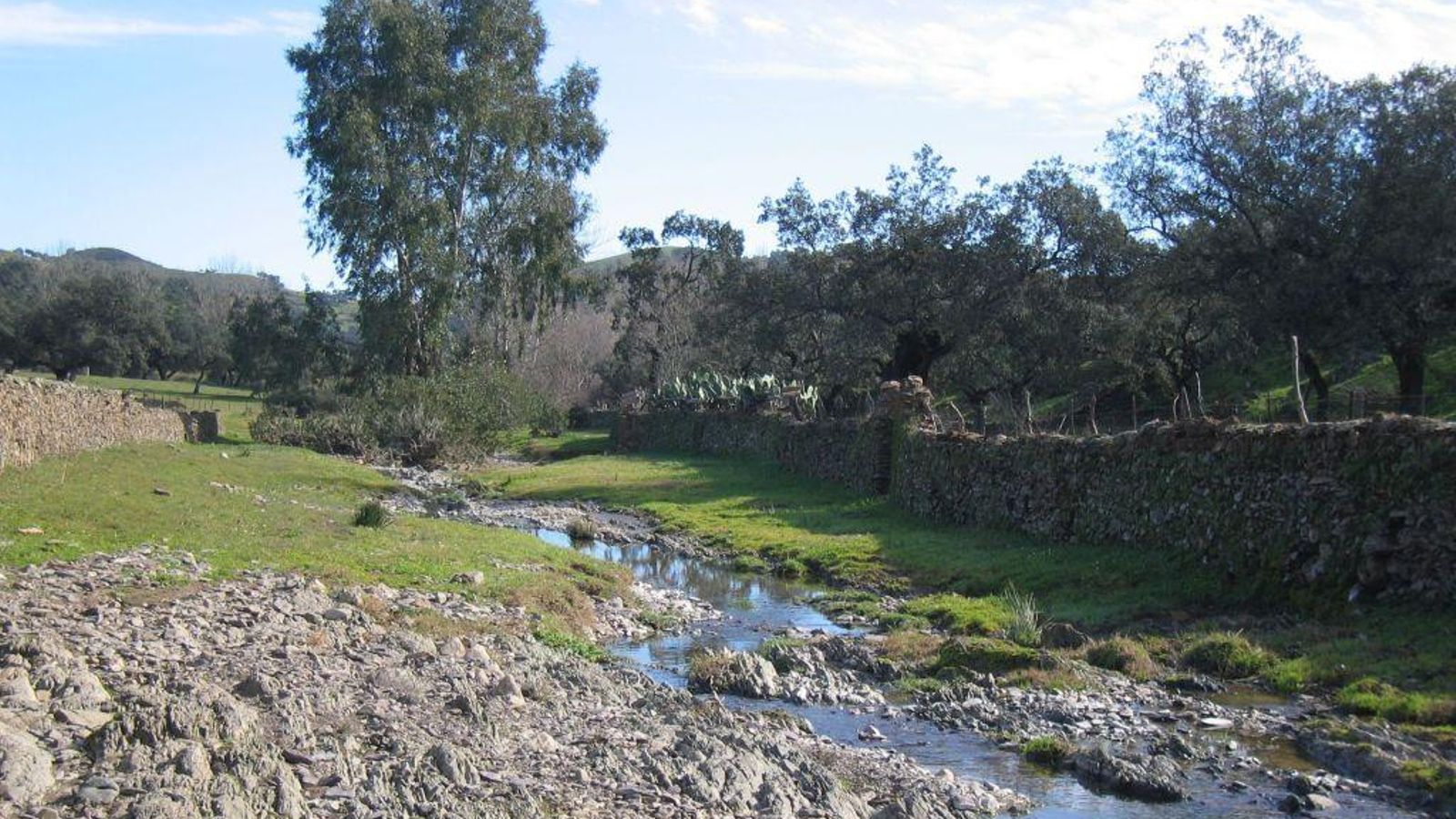 Cañaveral de León - Ribera de Hinojales