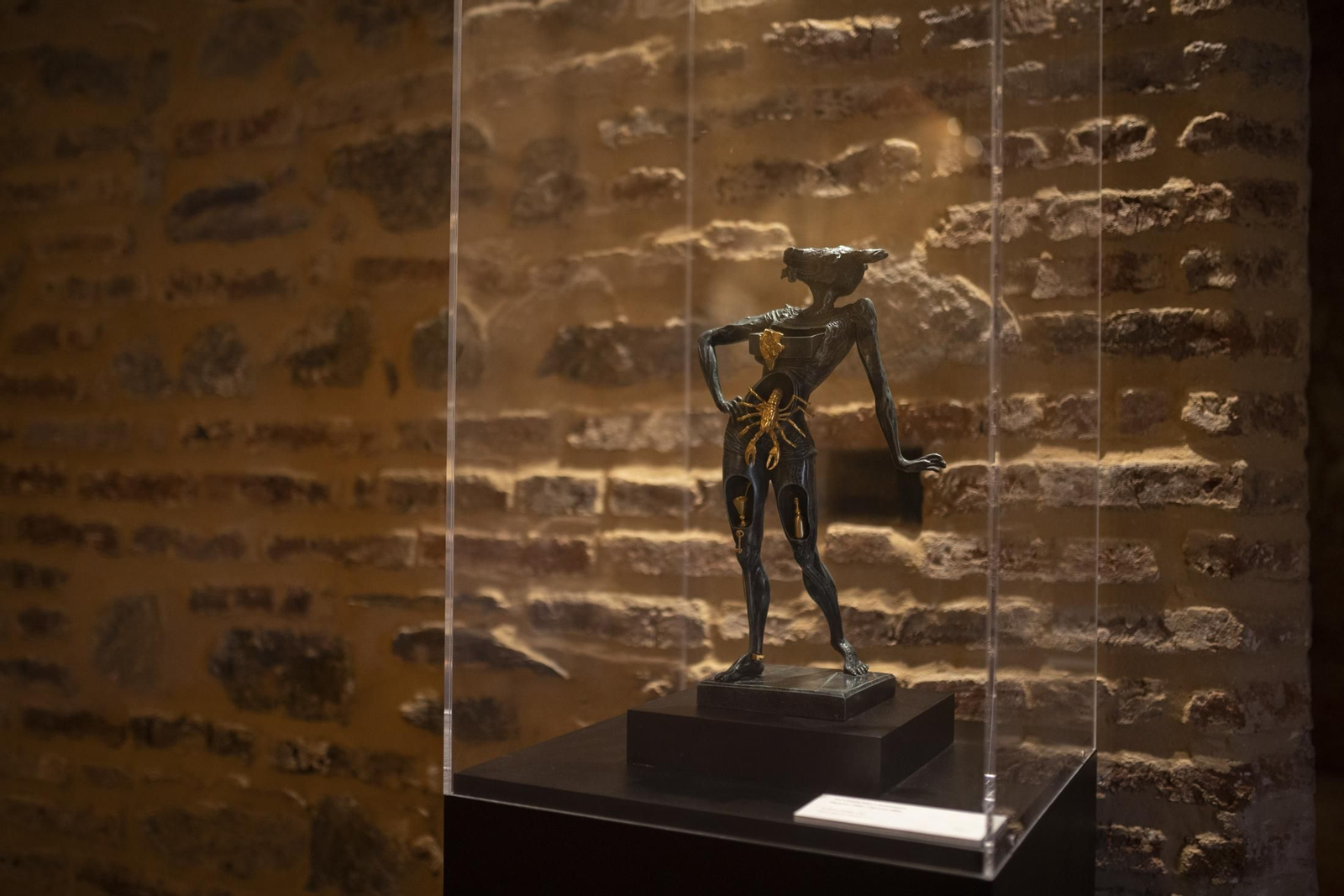 Imágenes de La Nava