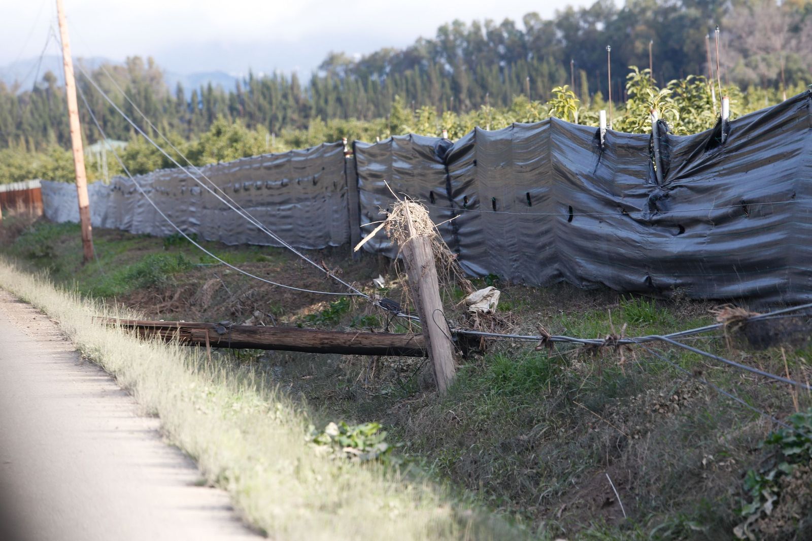 Fotos de las consecuencias de la borrasca Francis en Tesorillo y Jimena