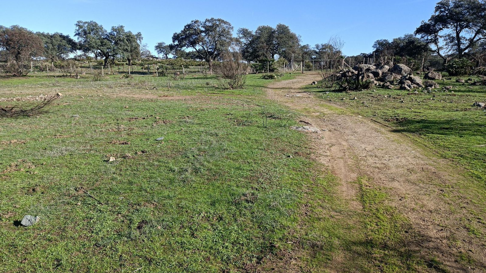 Justo al pasar esta cancela, giramos a la izquierda.