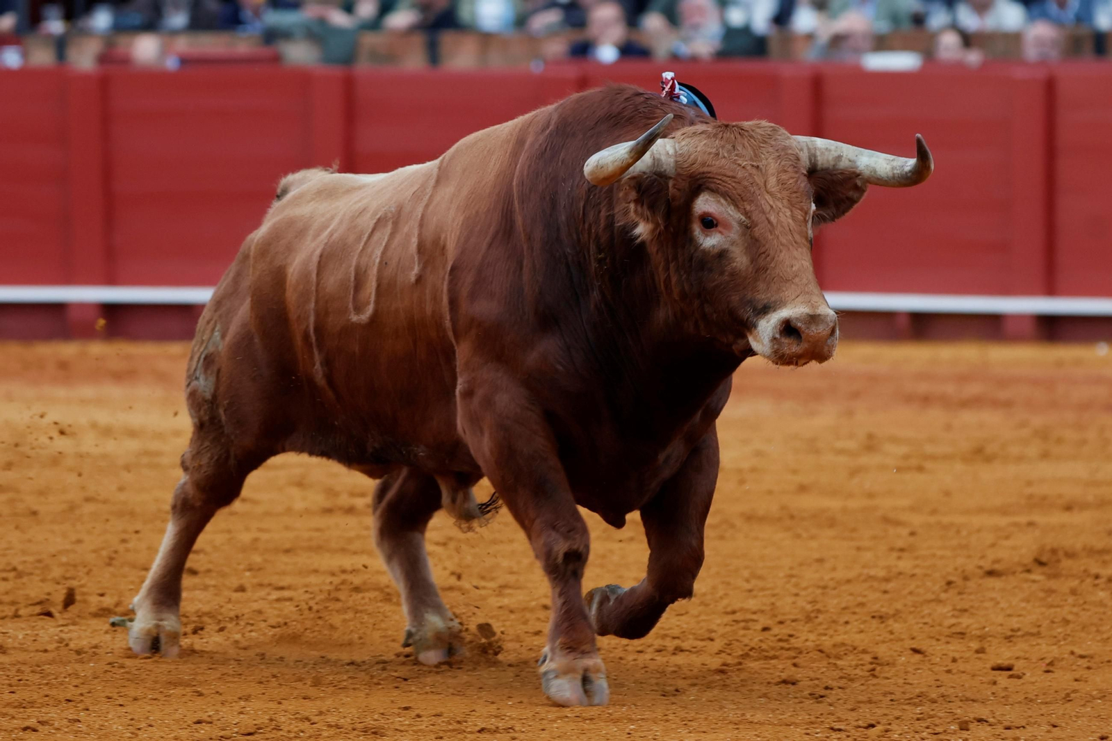 Las fotos de la corrida de David Galván, El Fandi y Ginés Marín en la Maestranza
