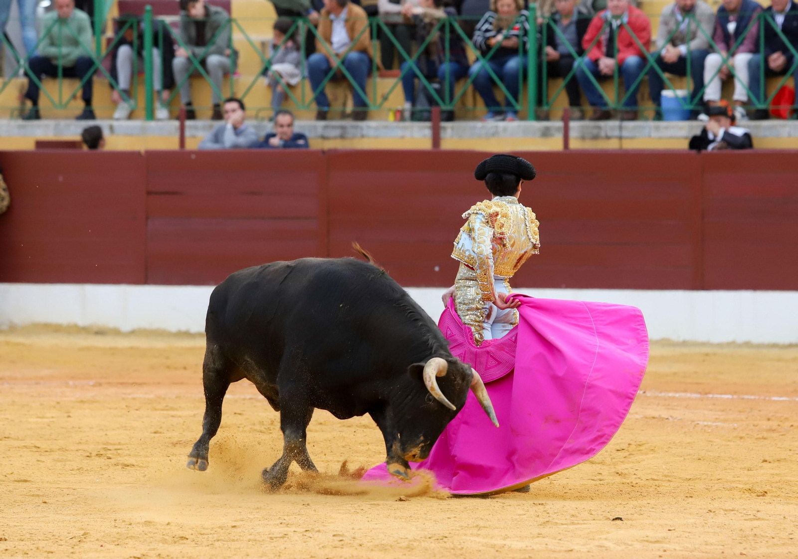 Imágenes de la novillada previa a la Semana Santa en la plaza de toros de La Línea