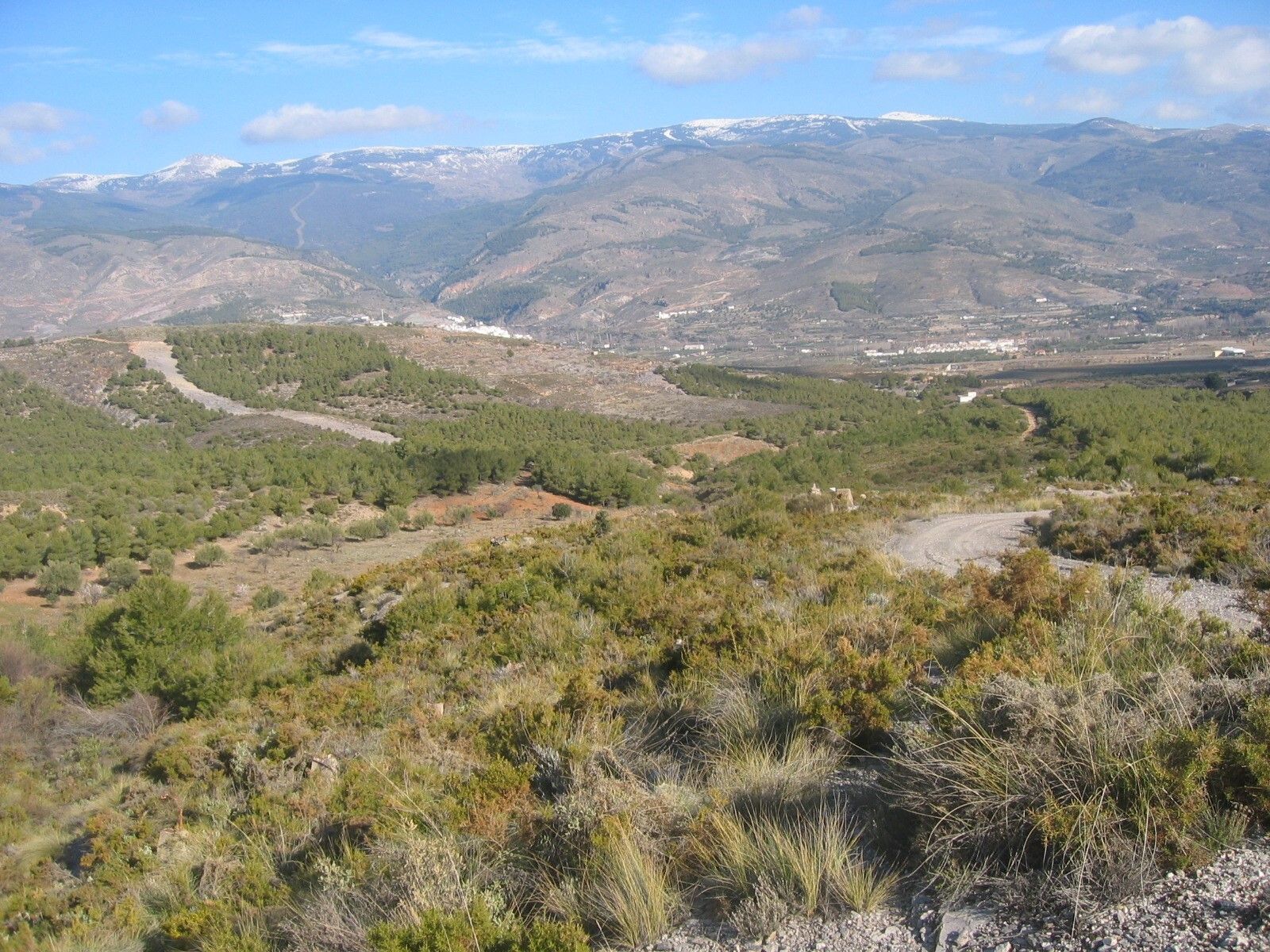 Montes de la Sierra de Gádor.