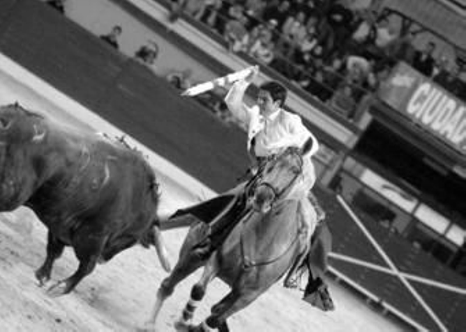 Sergio Dominguez, gran triunfador, en un lance de su faena de ayer.