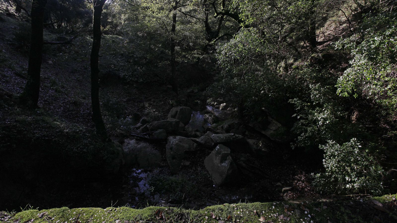 Sendero de la finca Murta en Los Barrios