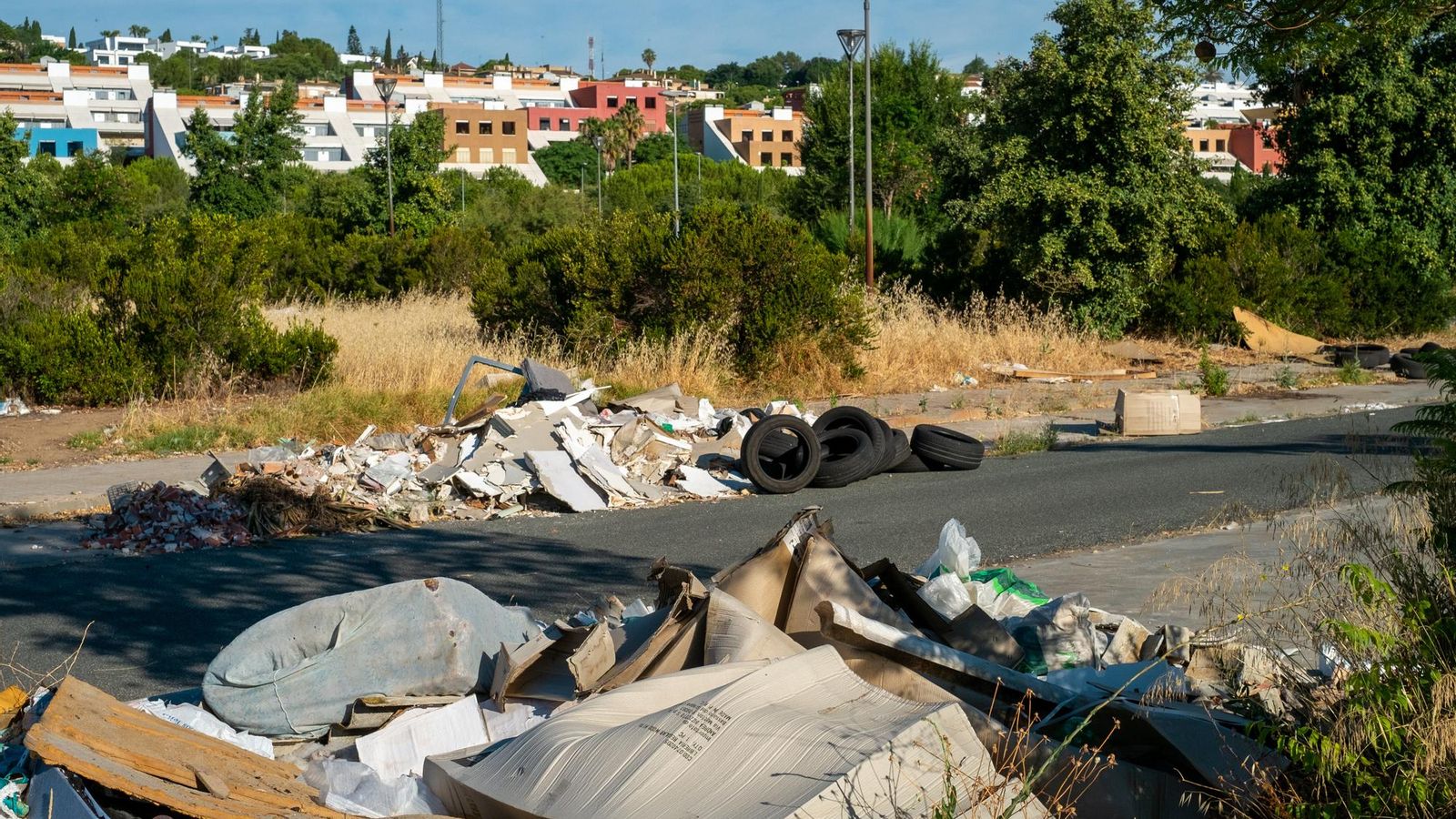 Basuras acumuladas en una de las calles de Vega del Rey, con la urbanización Las Terrazas, al fondo.