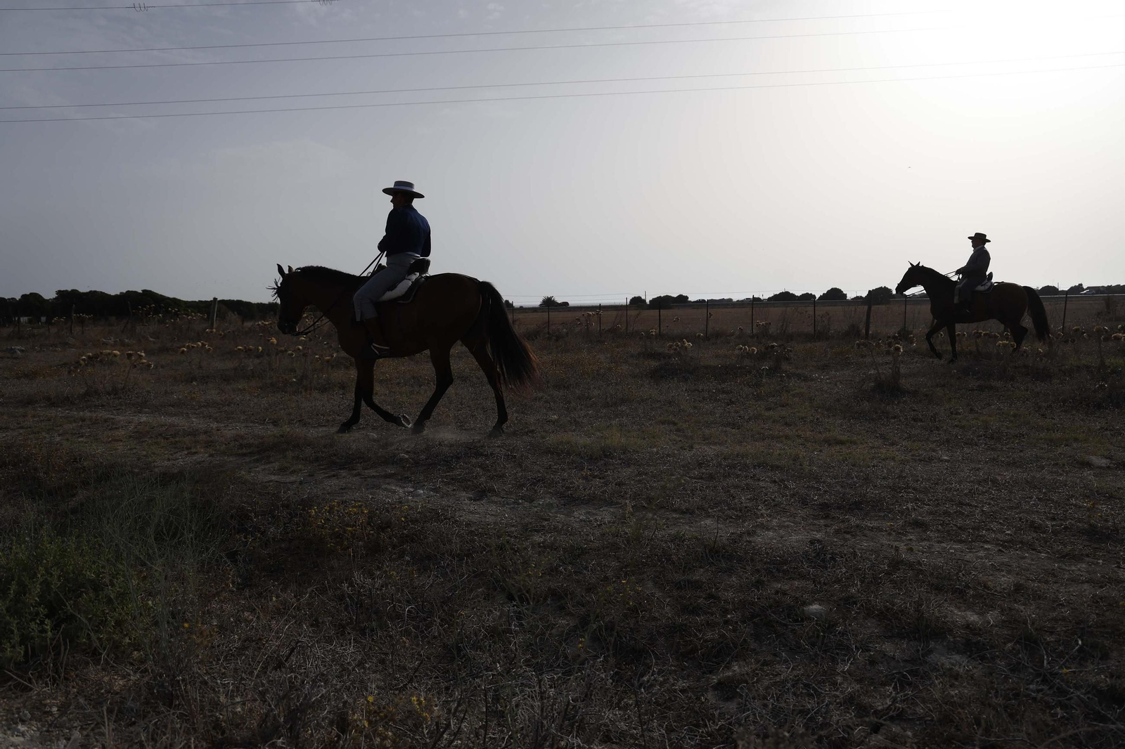 Las fotos de la cabalgata agrícola de la Virgen de la Luz en Tarifa