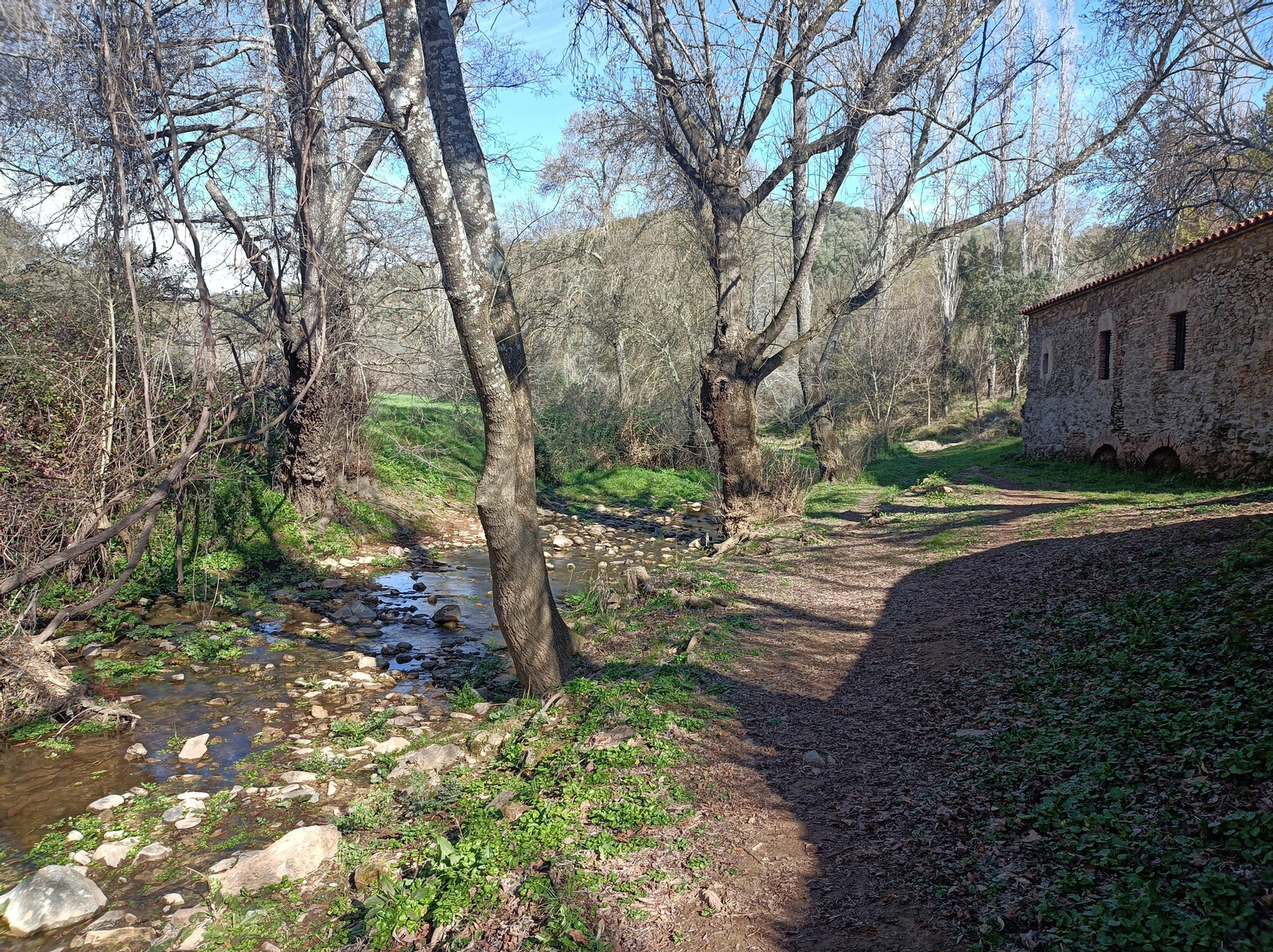 Las fotos de la circular de los Molinos del Ciudadeja