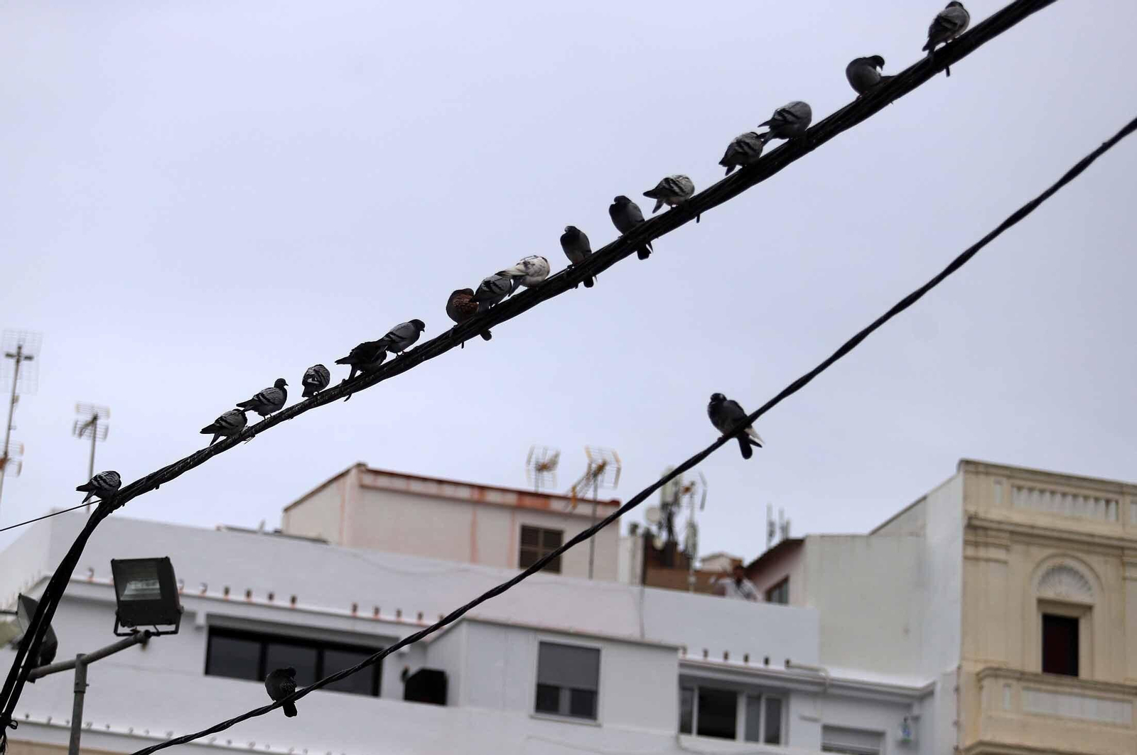 Barrio a barrio: Imágenes de Pescadería