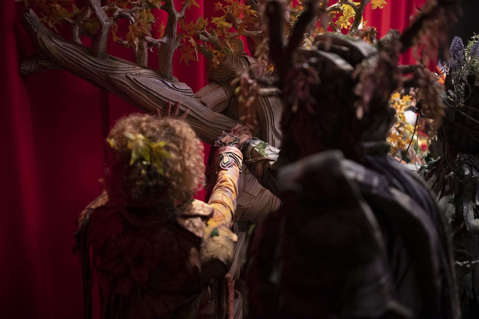 Imágenes de la actuación de la comparsa de Huelva "La vieja verde" en el Carnaval Colombino