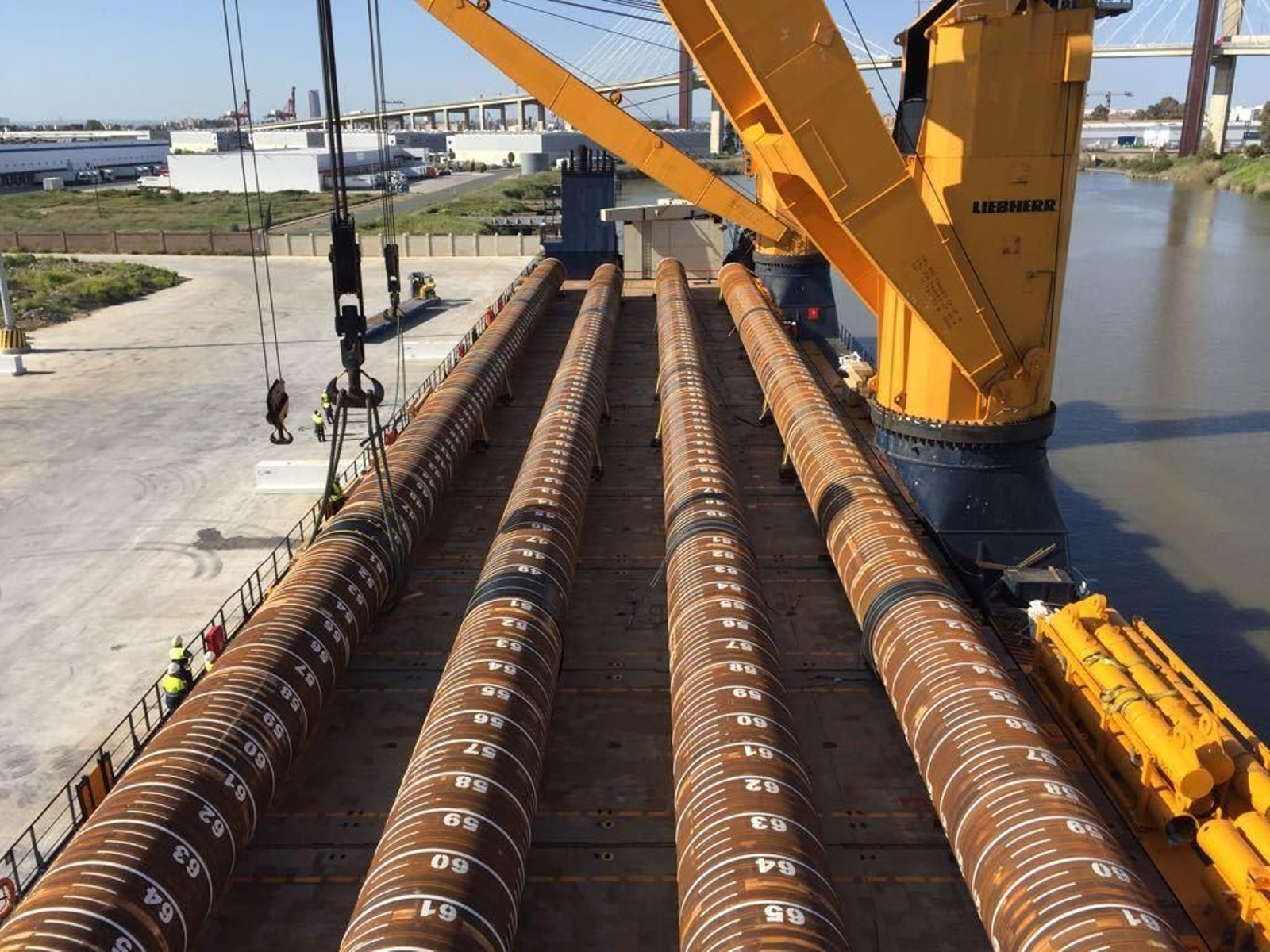 Las cuatro torres alineadas con el Puente del Centerario al fondo.