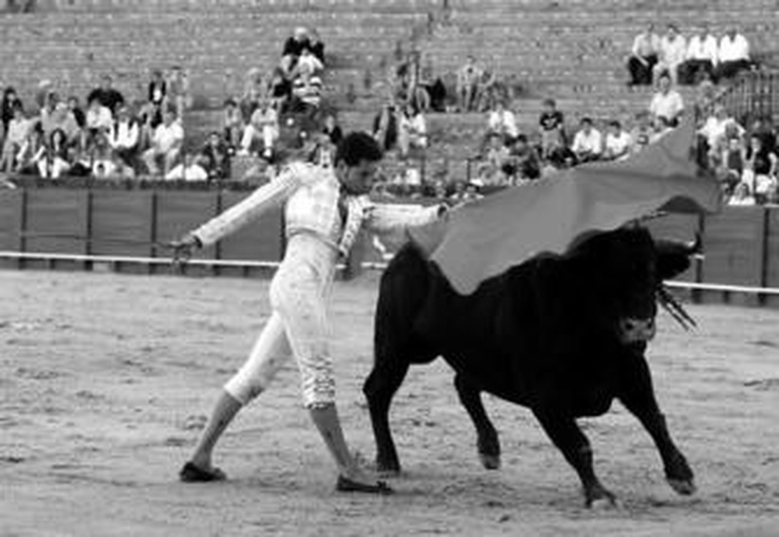 Un pase de pecho del novillero de Ubrique Miguel Ángel Sánchez, en la tarde de ayer en la Maestranza.