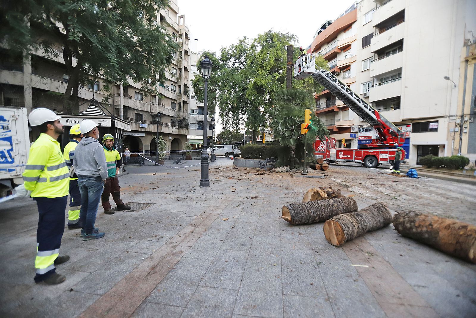 Imágenes de la tala de la emblemática Palmera de Huelva