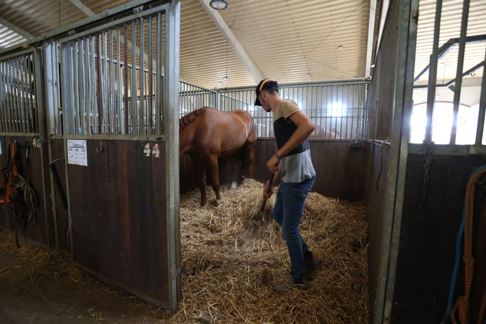 Una imagen de uno de los boxes del Complejo Hípico.