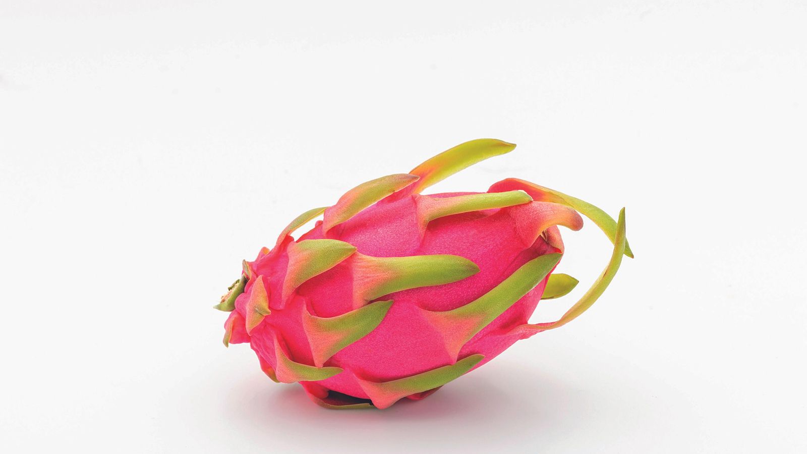 Pitahaya roja. Pitahaya roja.