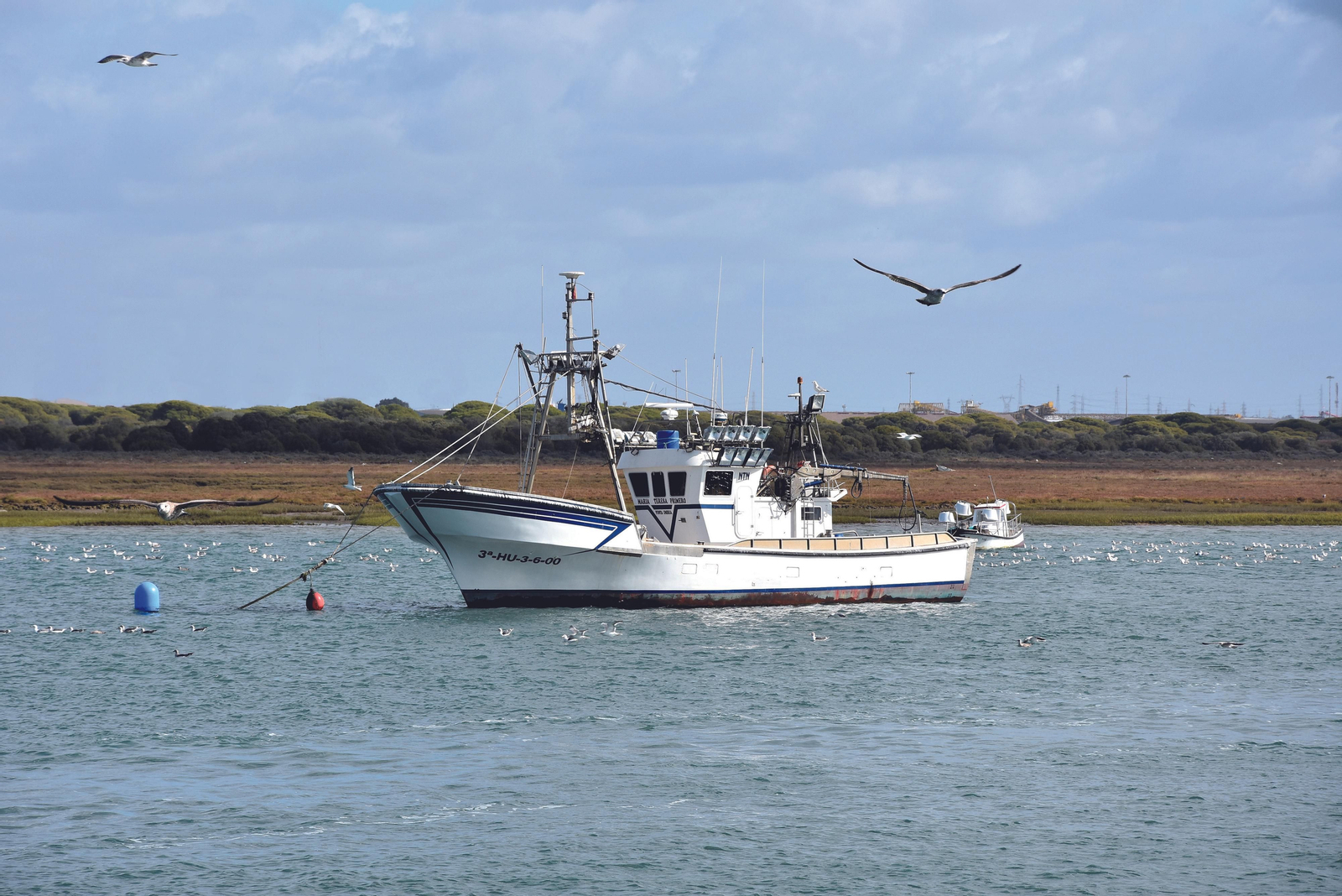Punta Umbría, muelle.