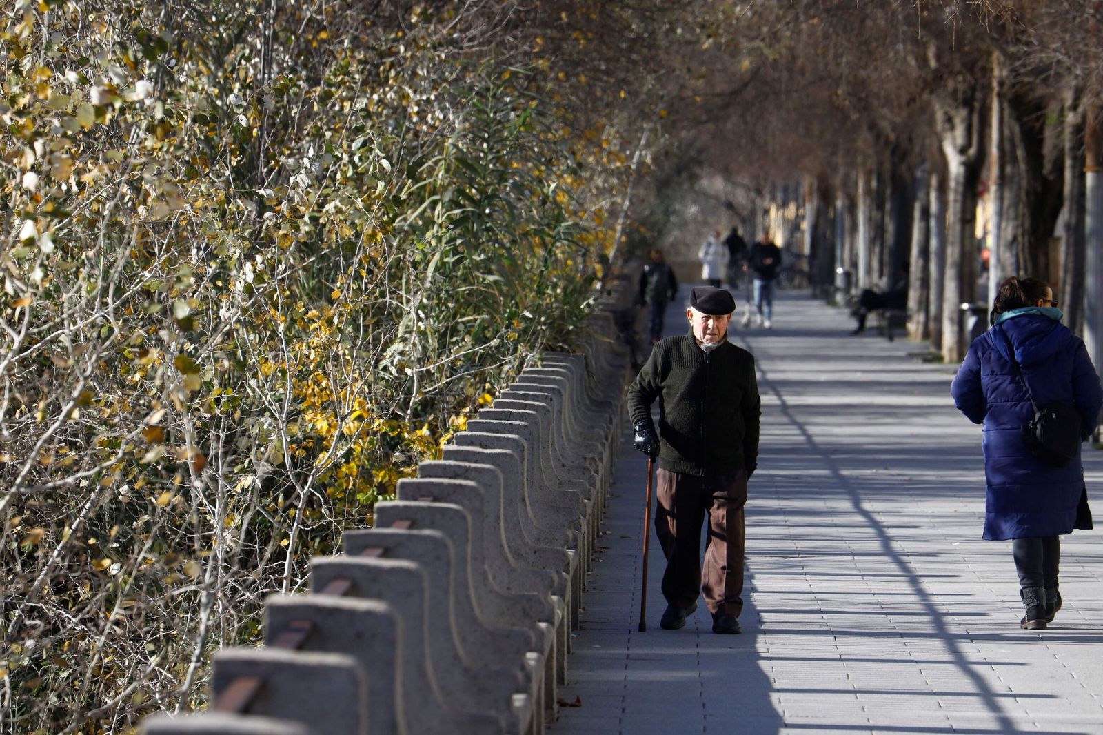 El frío polar llega a Córdoba, en imágenes
