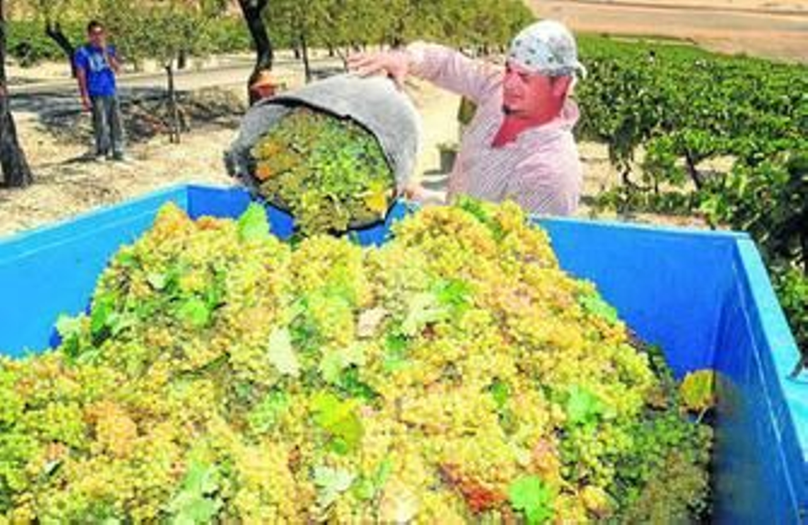 La mayoría de los desplazados encuentra trabajos temporales en sectores como la agricultura, la construcción y la hostelería.