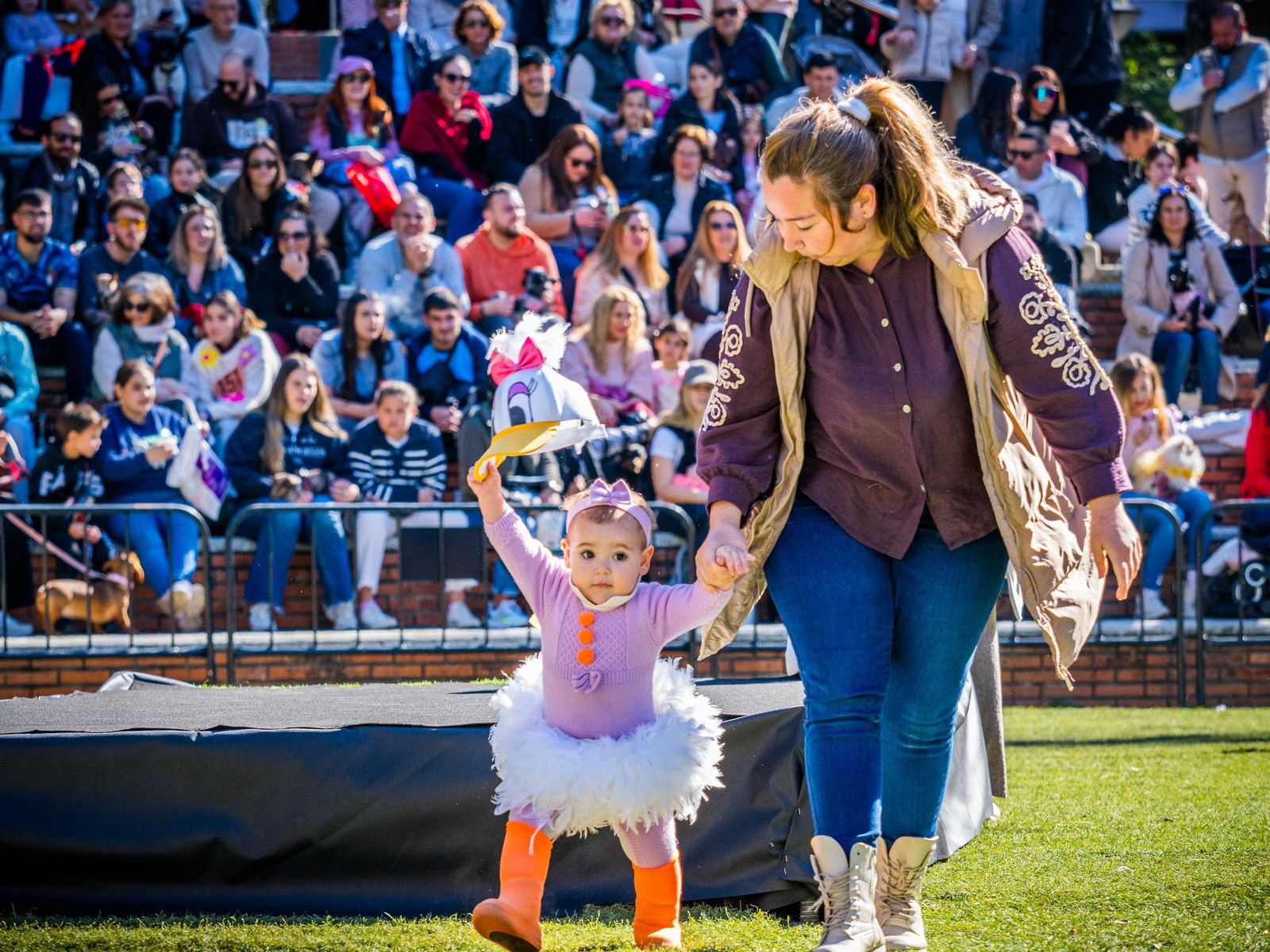 Las imágenes de San Antón 2025 en San Fernando