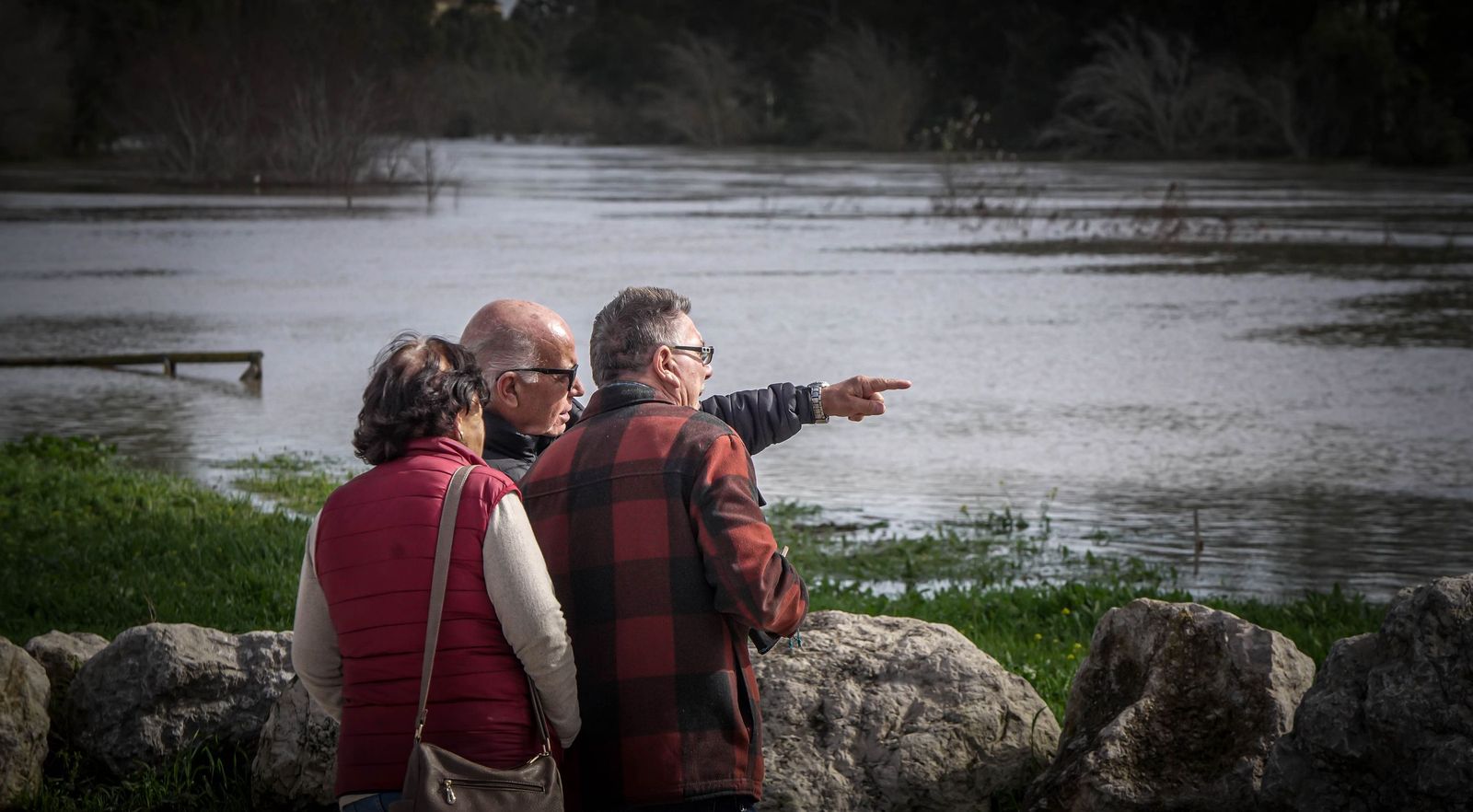 Un día tranquilo en el rio Guadalete, en imágenes