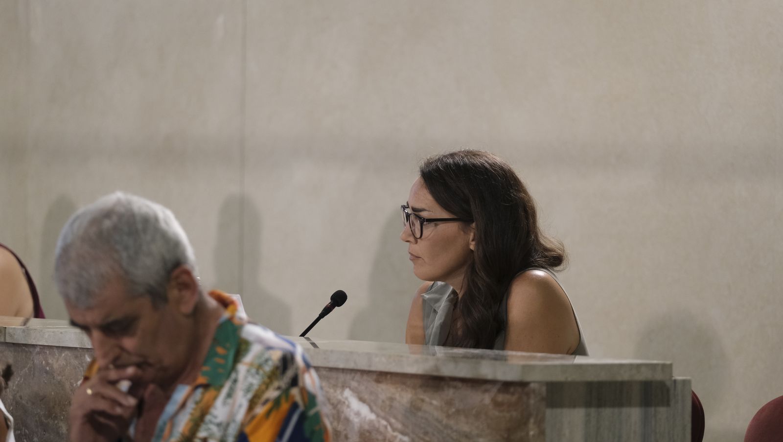 Imágenes del pleno ordinario del Ayuntamiento de Almería