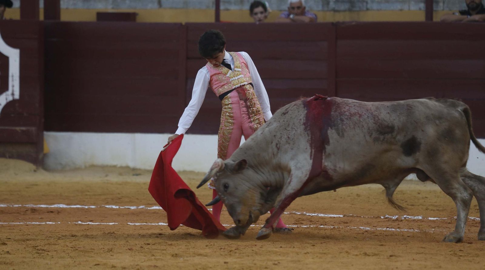 Fotos del triunfo de Manuel Roman y Javier Zulueta con la buena novillada de Núñez de Tarifa que abrió la Feria de La Línea