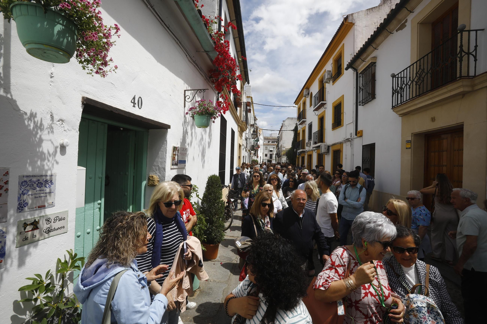 Colas e ilusión en el primer sábado de los Patios de Córdoba, en imágenes