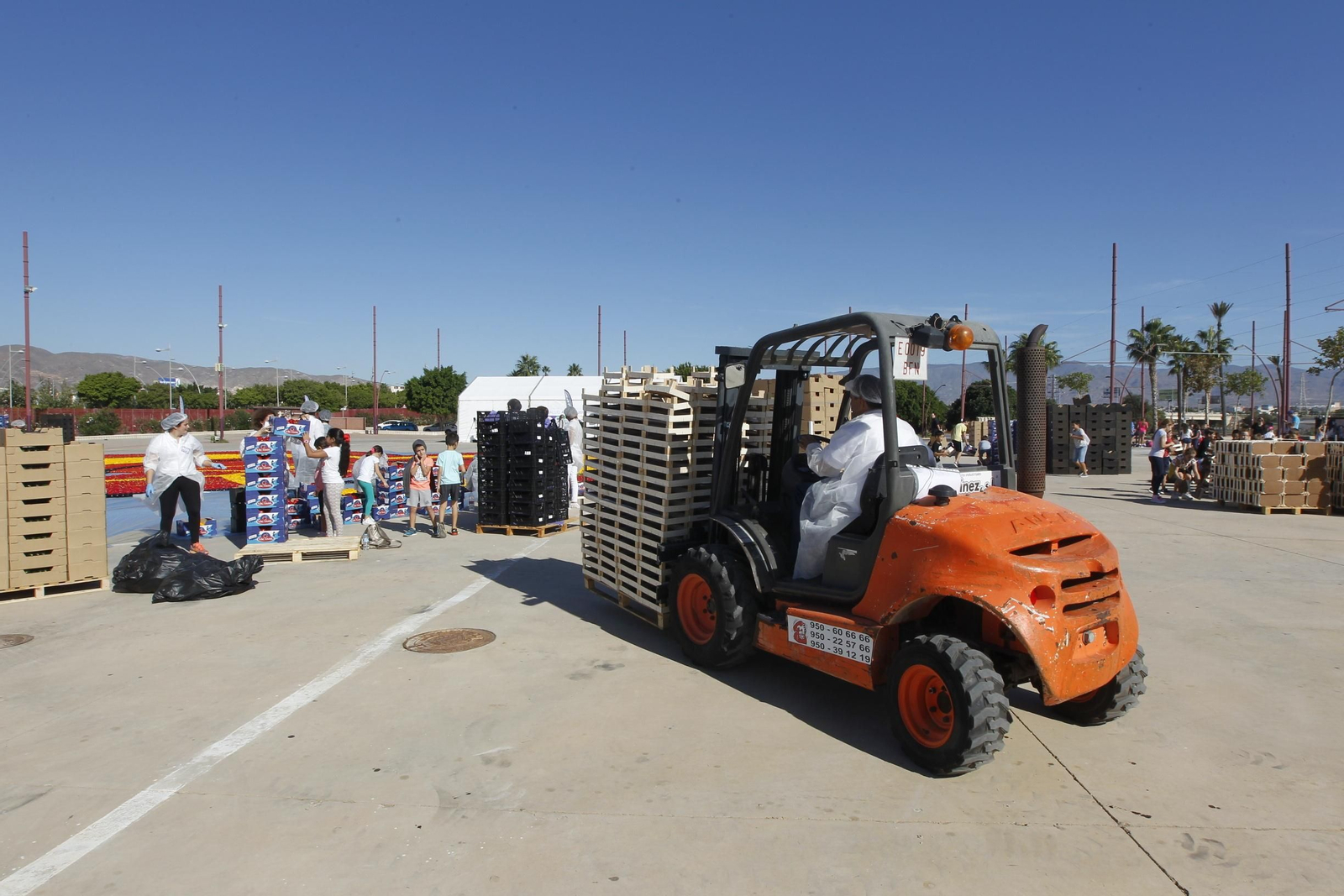 Fotogalería Récord Guinness Corazón Hortalizas Almería