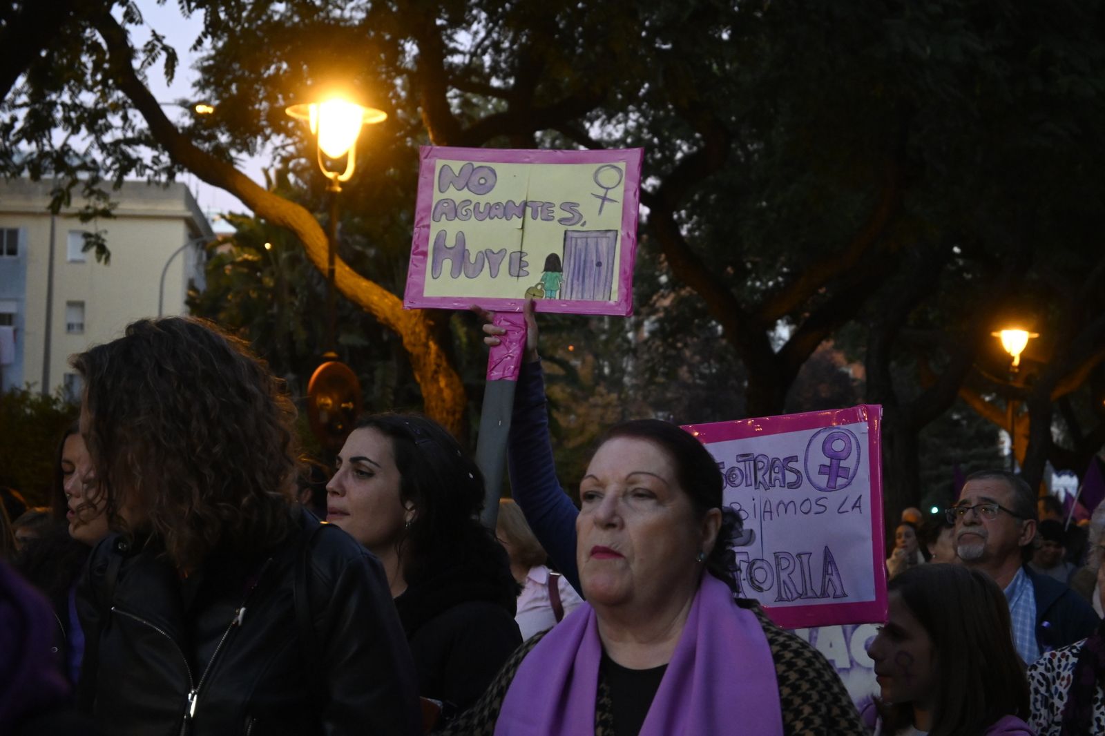 Manifestación del 25N en Imágenes.