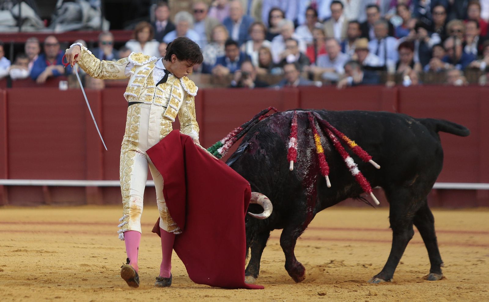 Las imágenes de la undécima de abono de la Maestranza