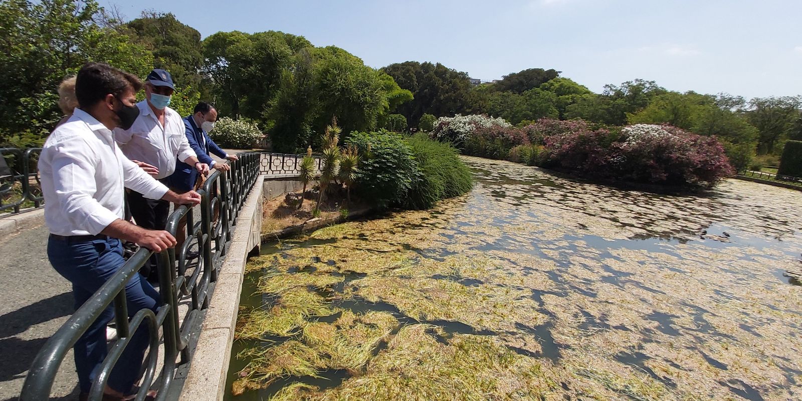 Beltrán Pérez y ediles del PP en el estanque del Parque de los Príncipes, cubierto con una masa verde.