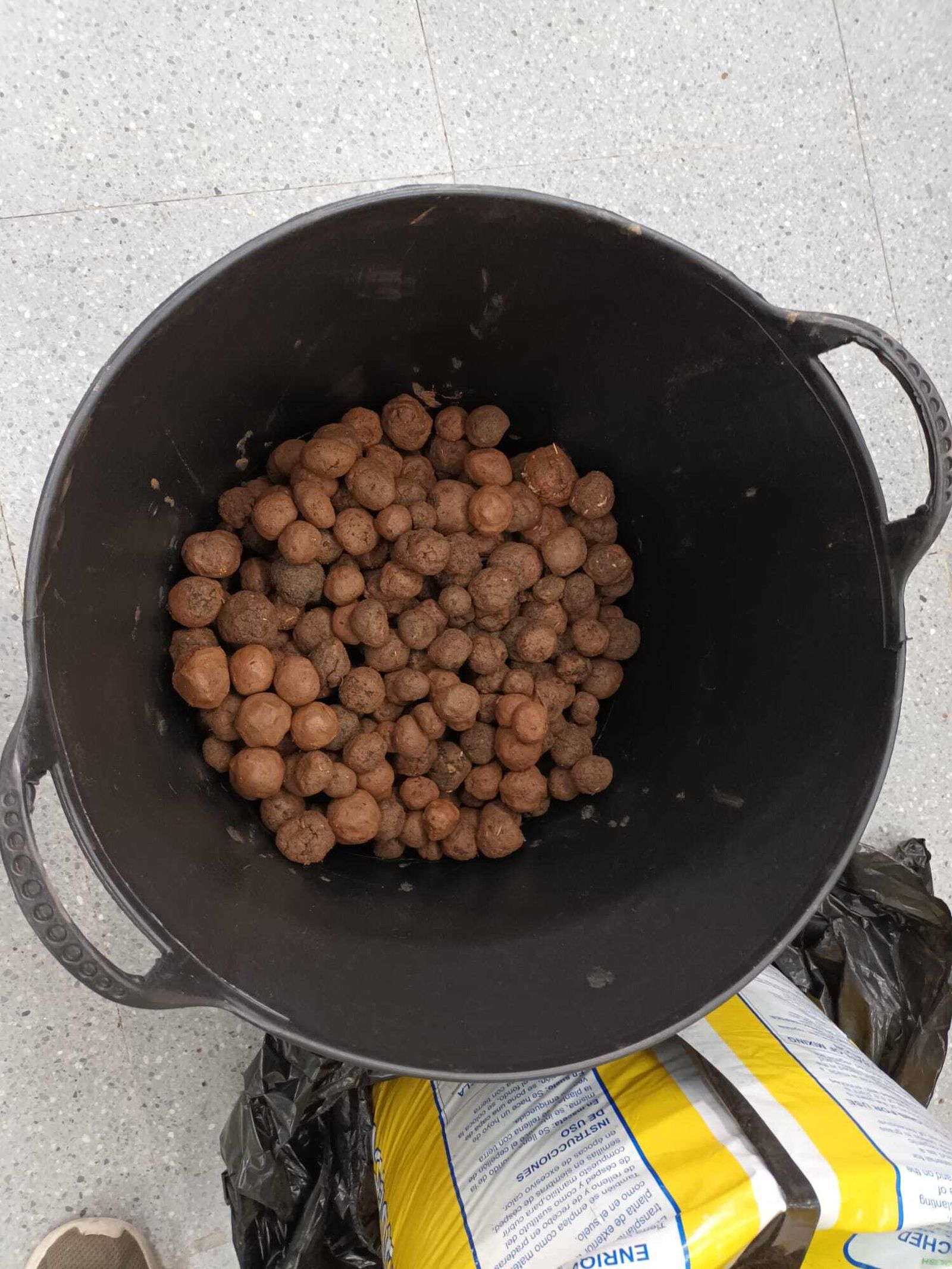 Reforestación en Córdoba del Movimiento Smart Green de LG