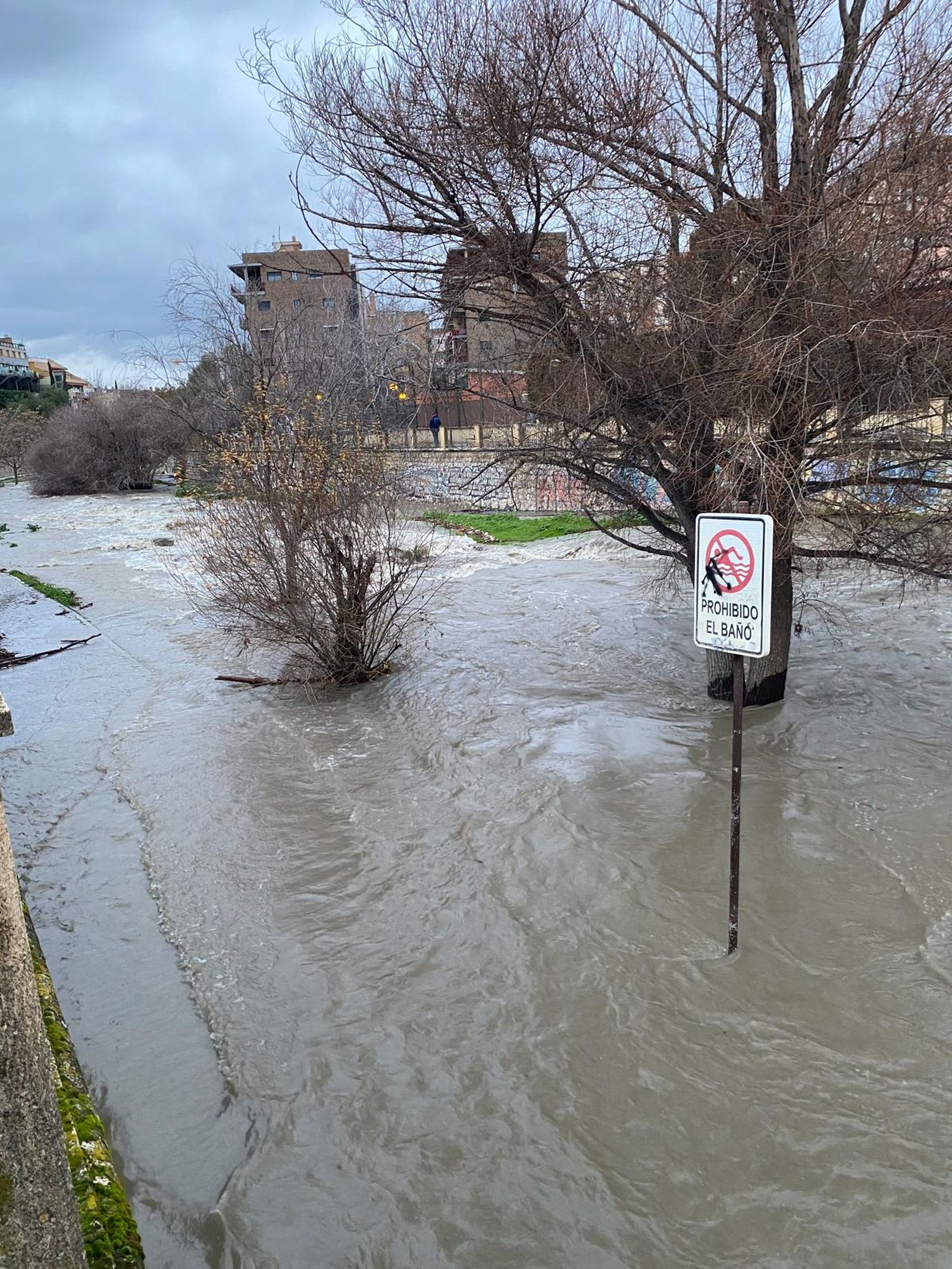 Las fotos de la previa de la borrasca Leonardo: nieve en Prado Negro y el río Genil en Granada, crecido