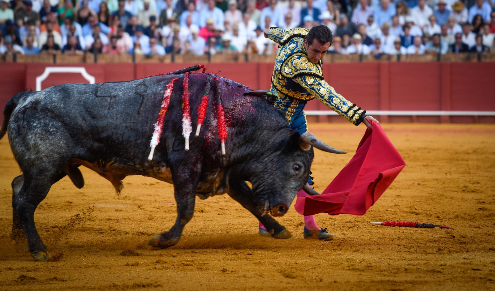 Las imágenes de la corrida de toros de El Fandi, Manuel Escribano y Esaú Fernández