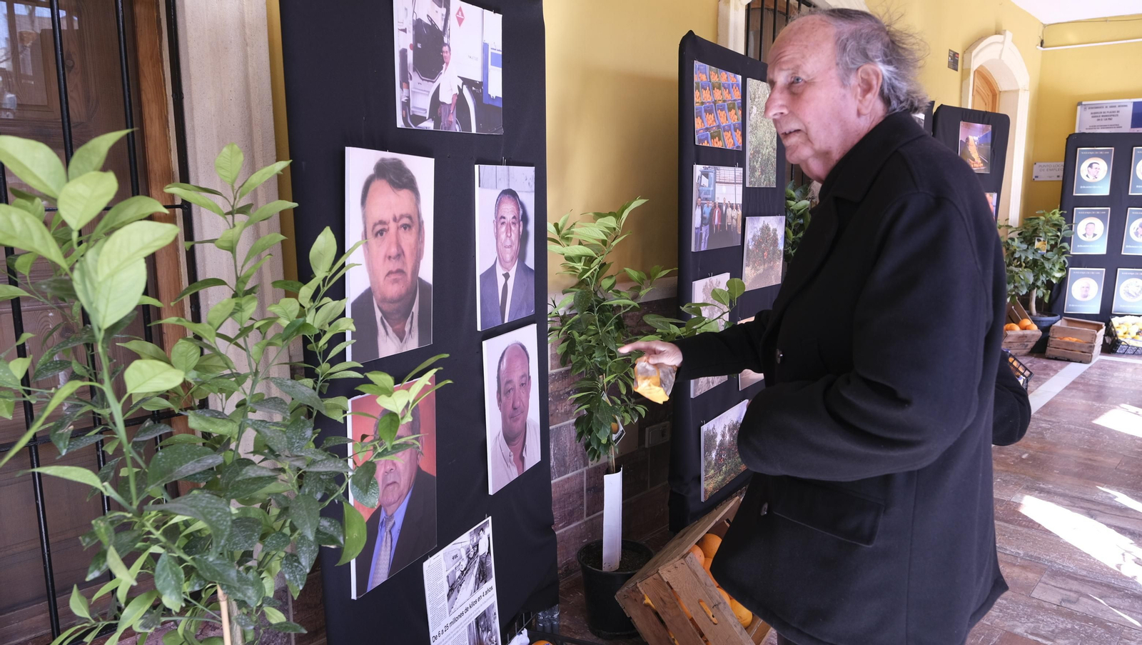 Imágenes del Día de la Naranja, en Gádor