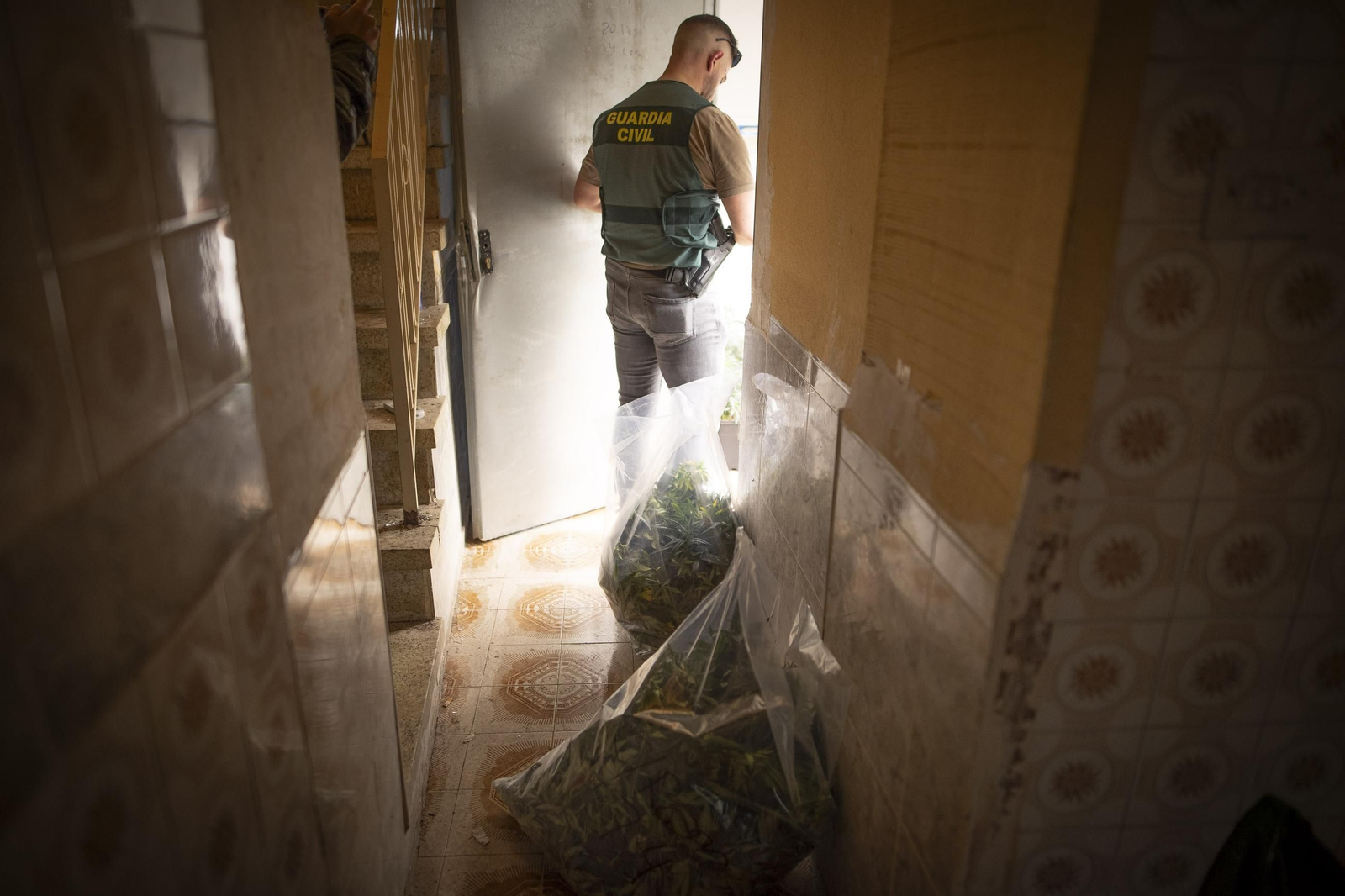 Fotos: un día de lucha contra la marihuana en Granada con la Guardia Civil de Pinos Puente