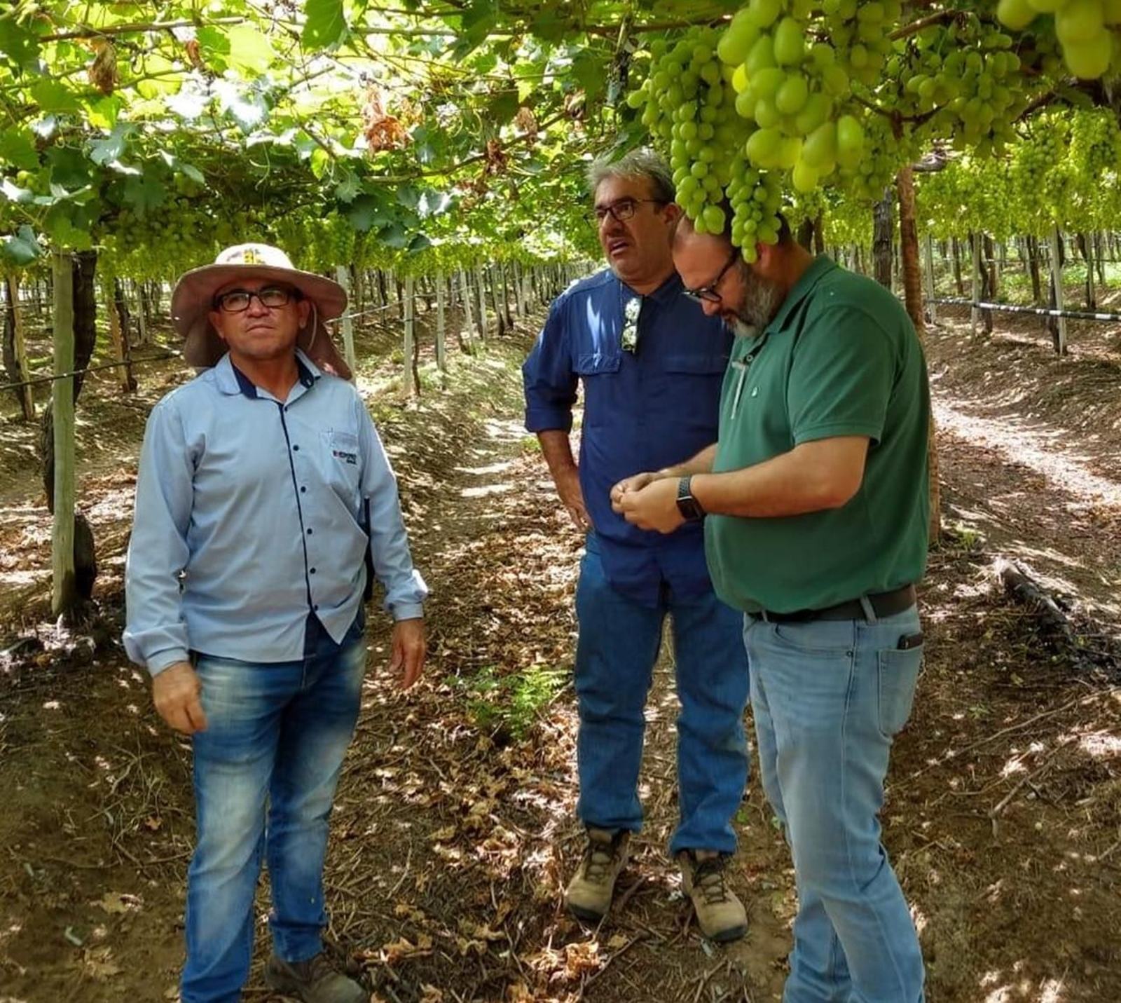 Ángel Ruiz Serna, gerente de la compañía, en un cultivo en Latinoamérica.
