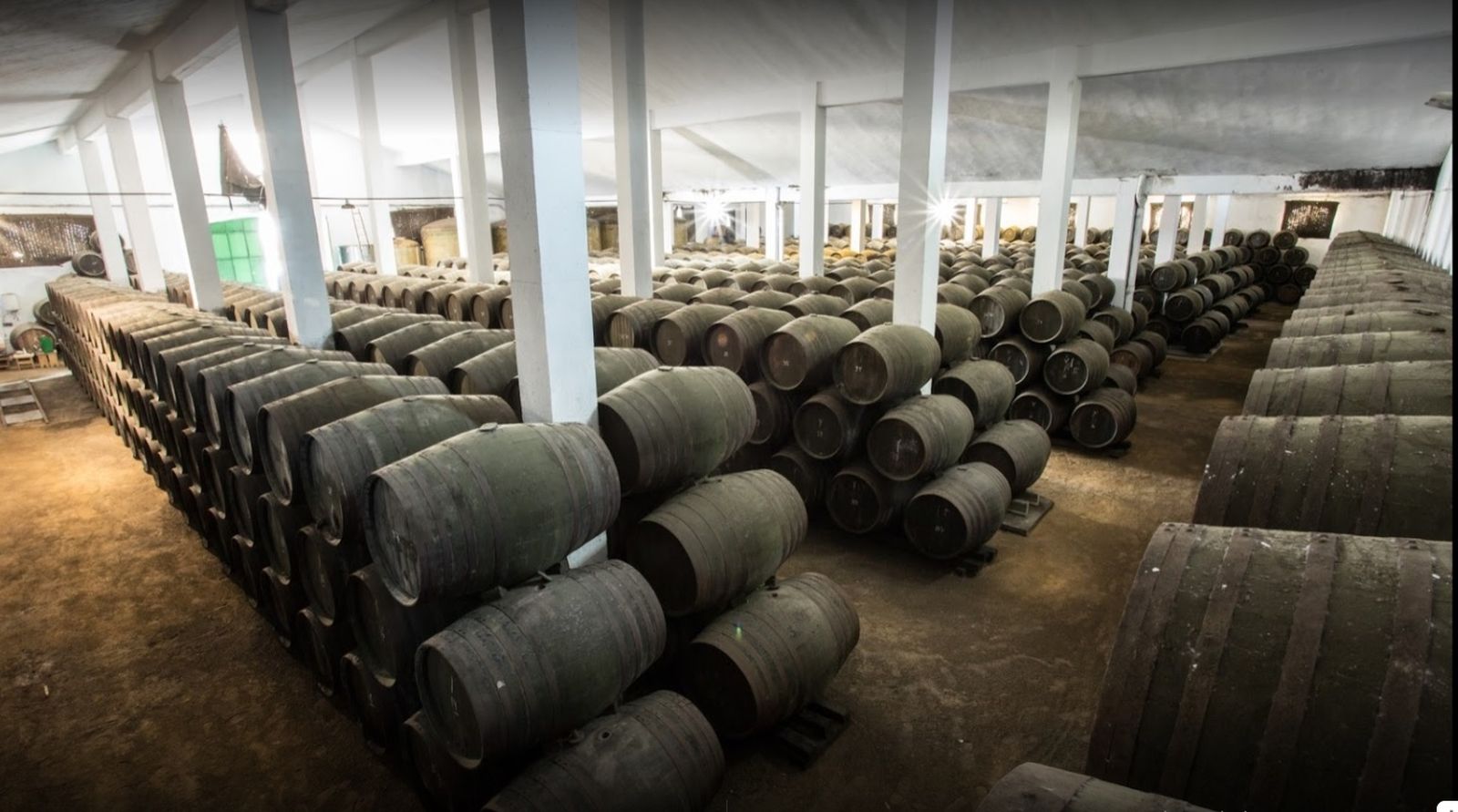 Interior de la bodega Amparo Ribelles.