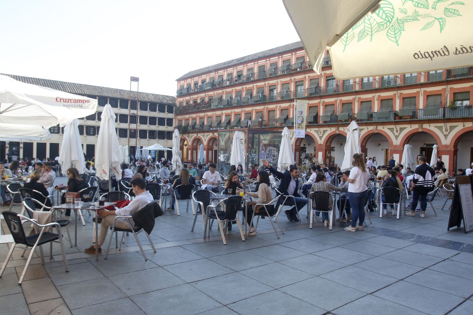 Terrazas de bares en la plaza de la Corredera.