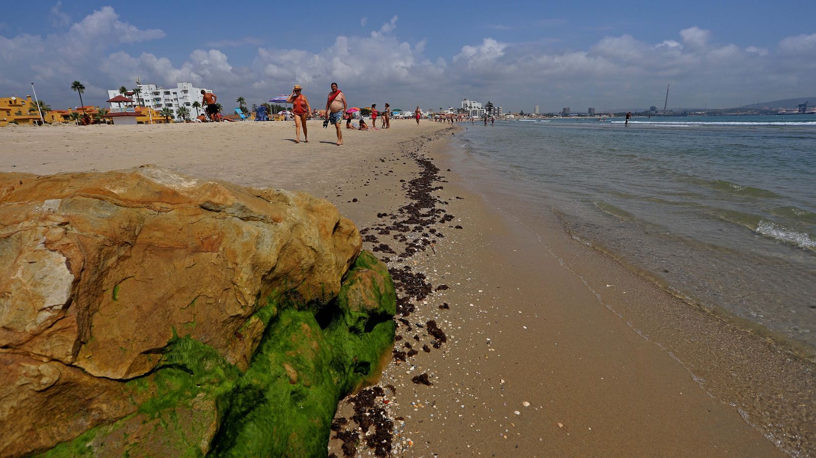 Fotos del alga invasora en El Rinconcillo