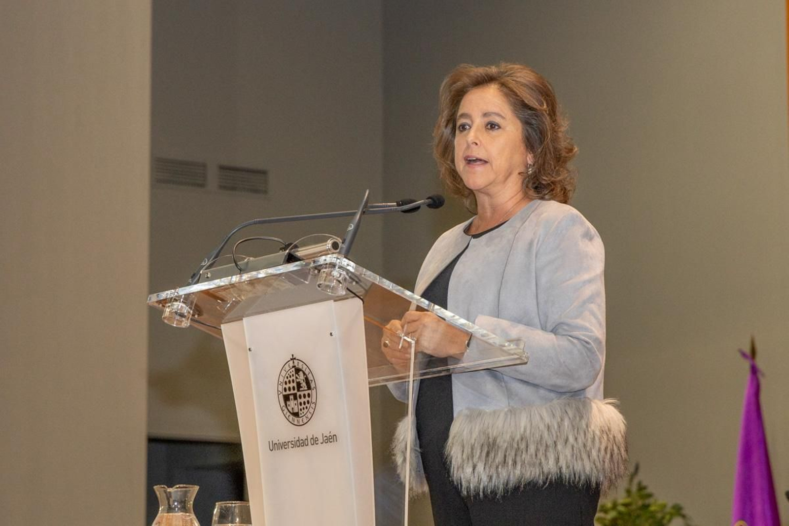 Investidura de Rafael Martos Sánchez, Raphael, como Doctor Honoris Causa por la Universidad de Jaén