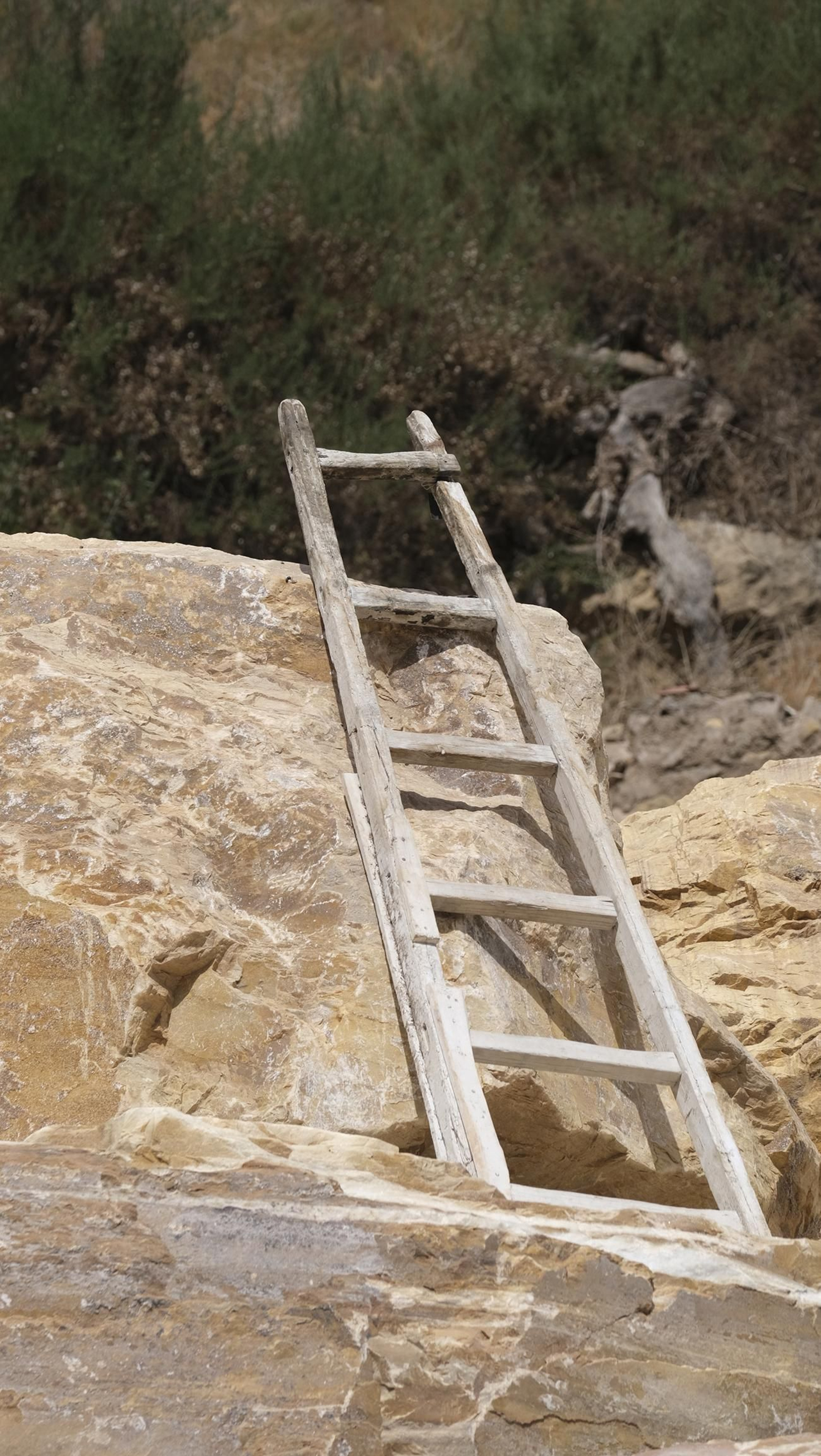 Imágenes de la recreación histórica Canteros y Caciques, en Macael