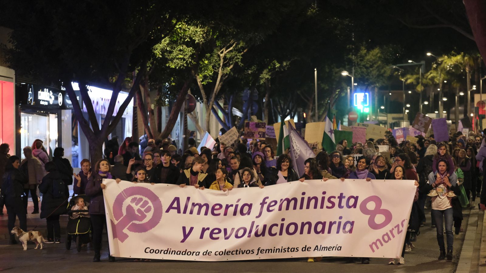 Imágenes de las manifestaciones por el Día de la Mujer en Almería