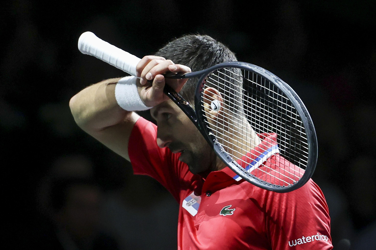 Copa Davis en Málaga: Sinner - Djokovic, en fotos