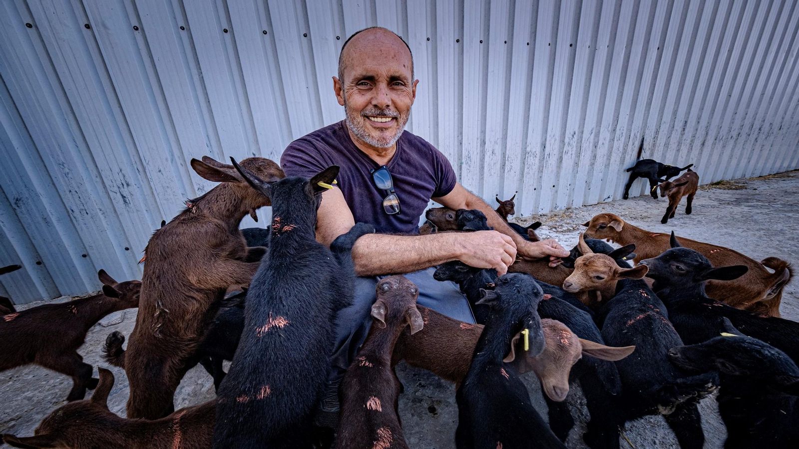 José Ángel, con algunos de sus cabritos.