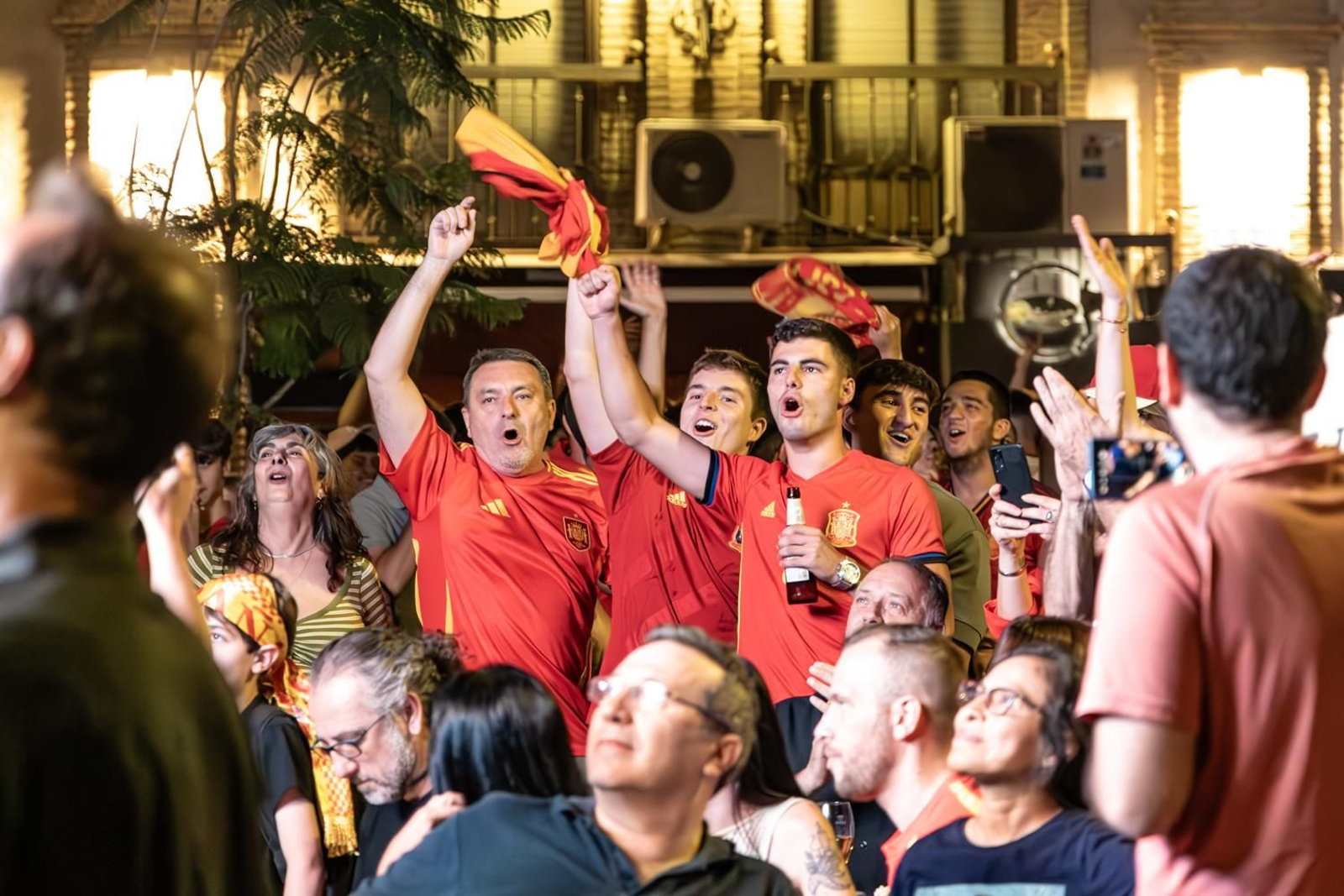 La euforia jiennense por la victoria de España, imágenes